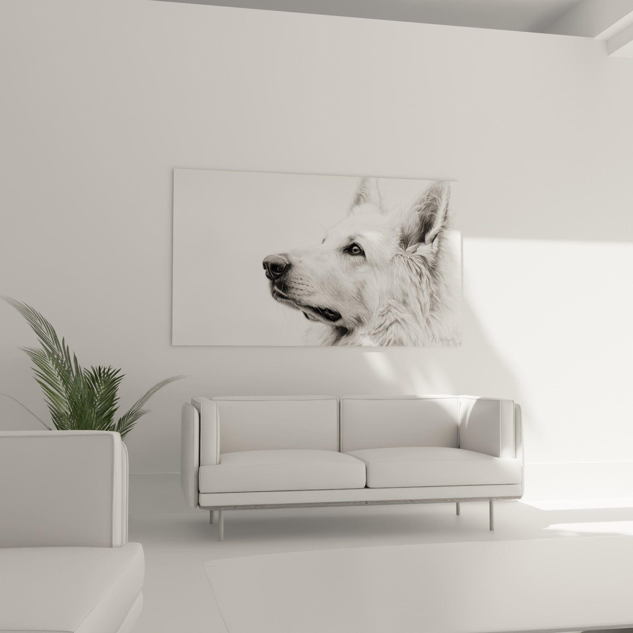 Detail dessin crayon berger blanc suisse pelage texture realiste ombres nuances grises subtiles