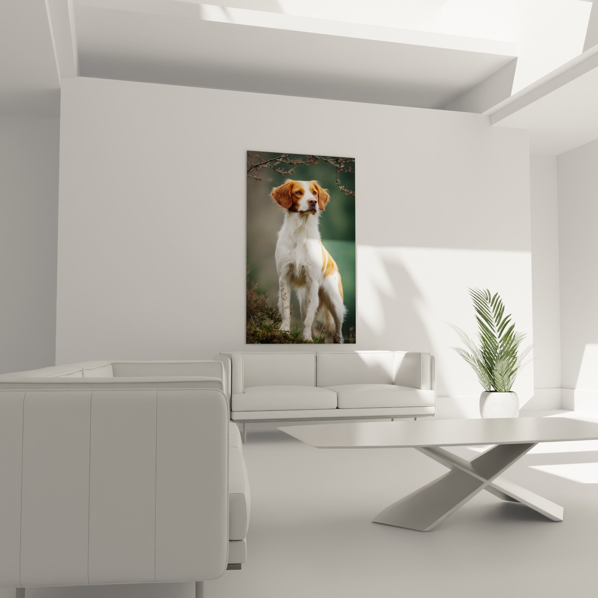 Dettaglio ravvicinato del ritratto dello Spaniel Bretone che rivela le sfumature rosse e bianche del mantello