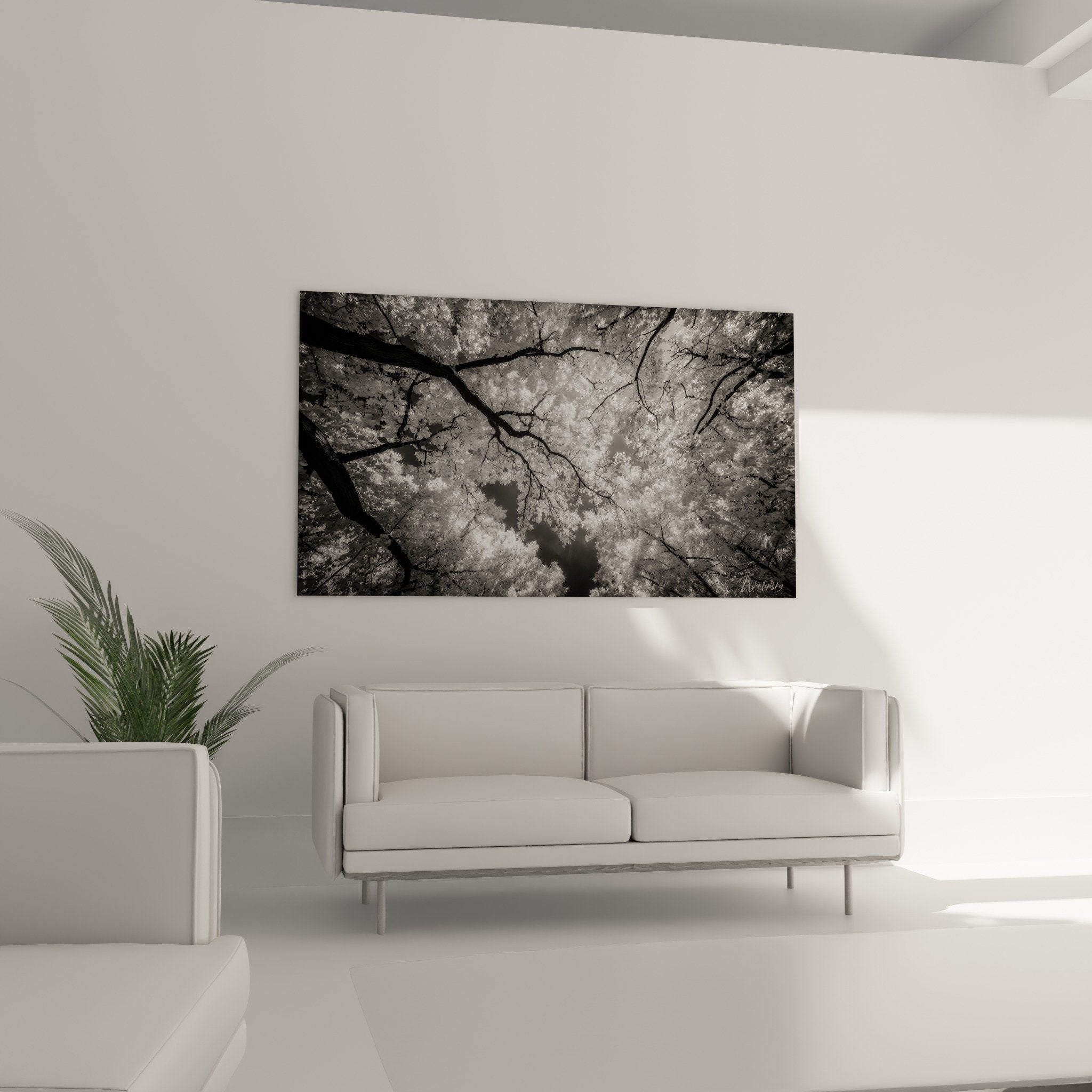 detail tableau feuillage ginkgo monochrome contraste noir blanc texture branches