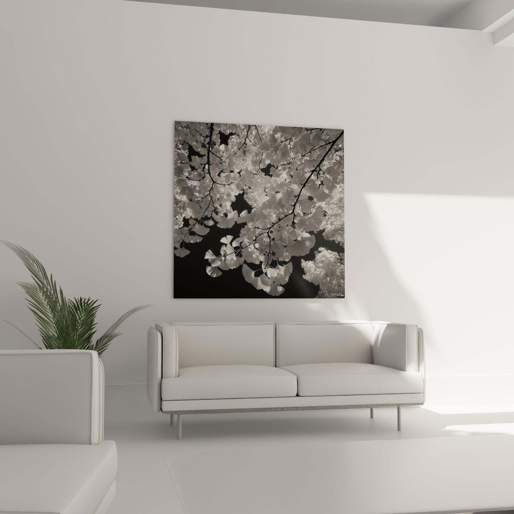 Detail rapproche feuilles Ginkgo photographie monochrome texture vegetale et nervures