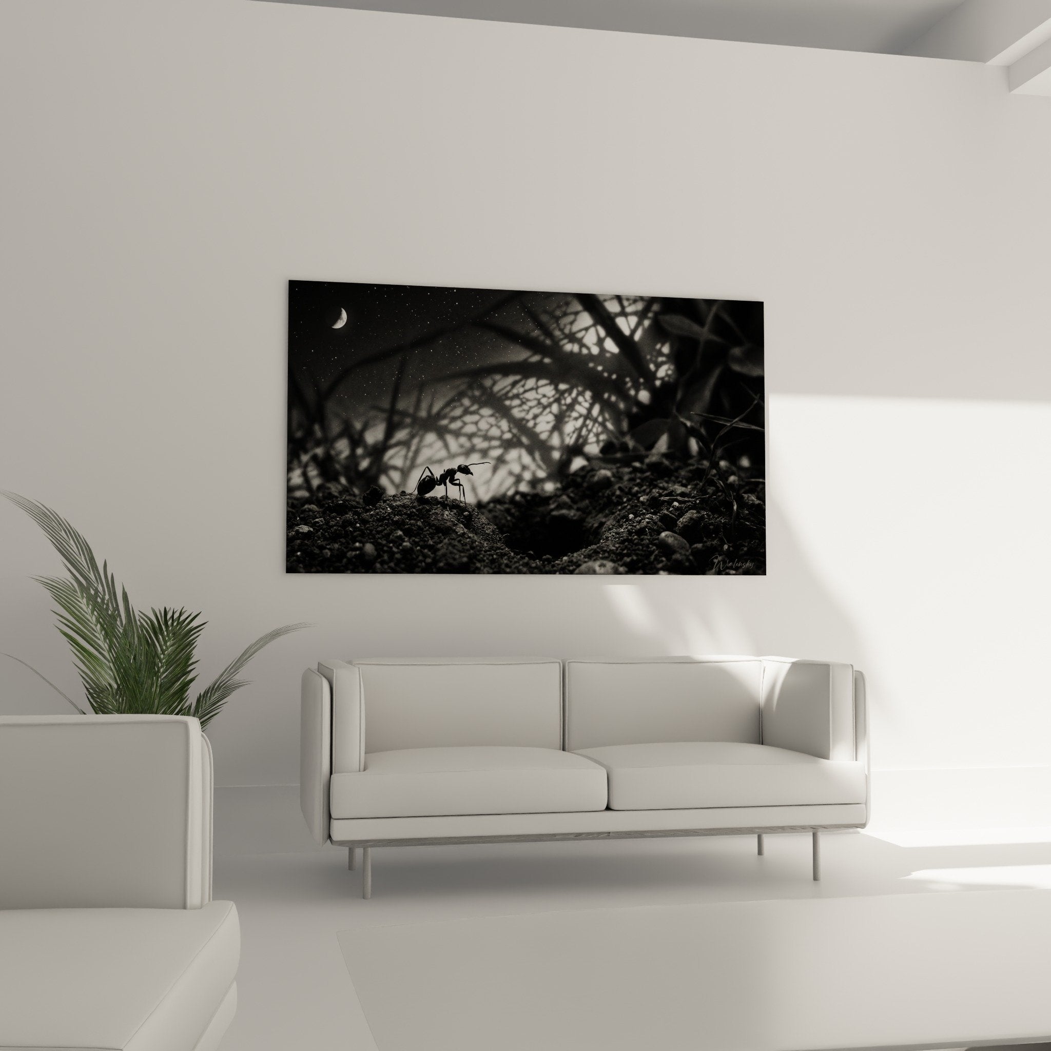 Detail schwarze Ameise auf körneriger Erde Makrofotografie schwarzweiß beeindruckender Kontrast