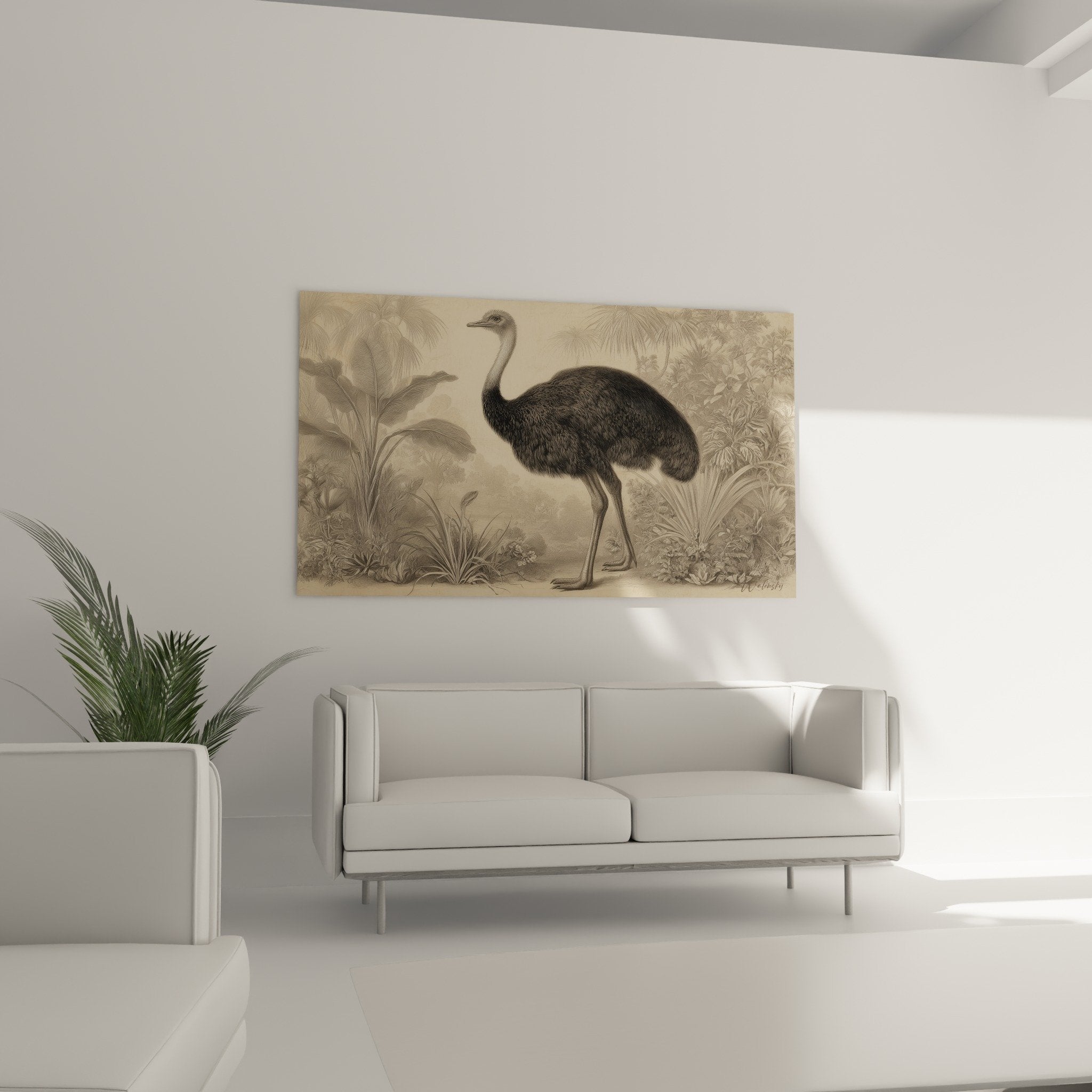 Detail gravure autruche plumage noir beige vegetation exotique illustration scientifique ancienne