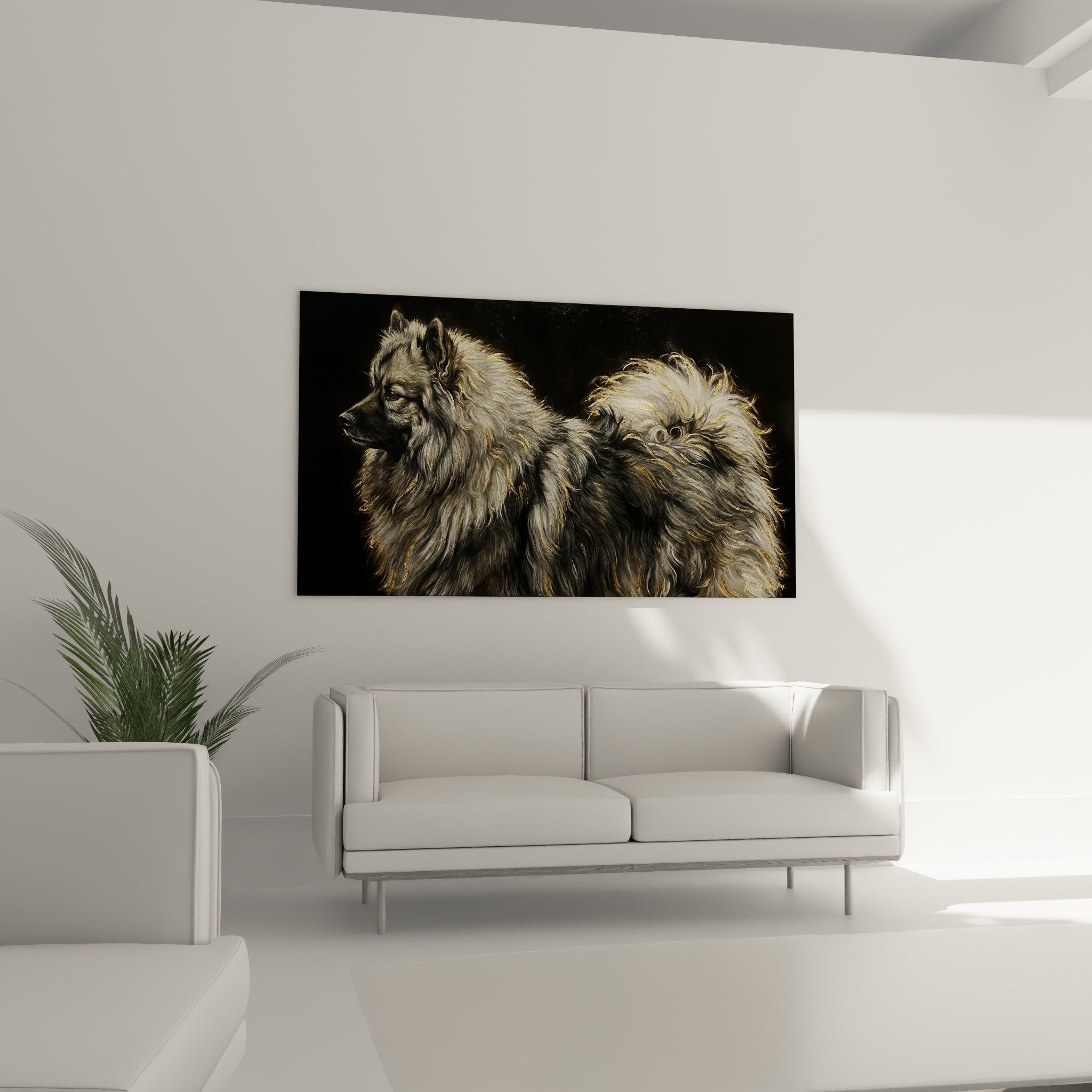 Detail pelage Keeshond reflets dores texture fourrure dense lumineuse
