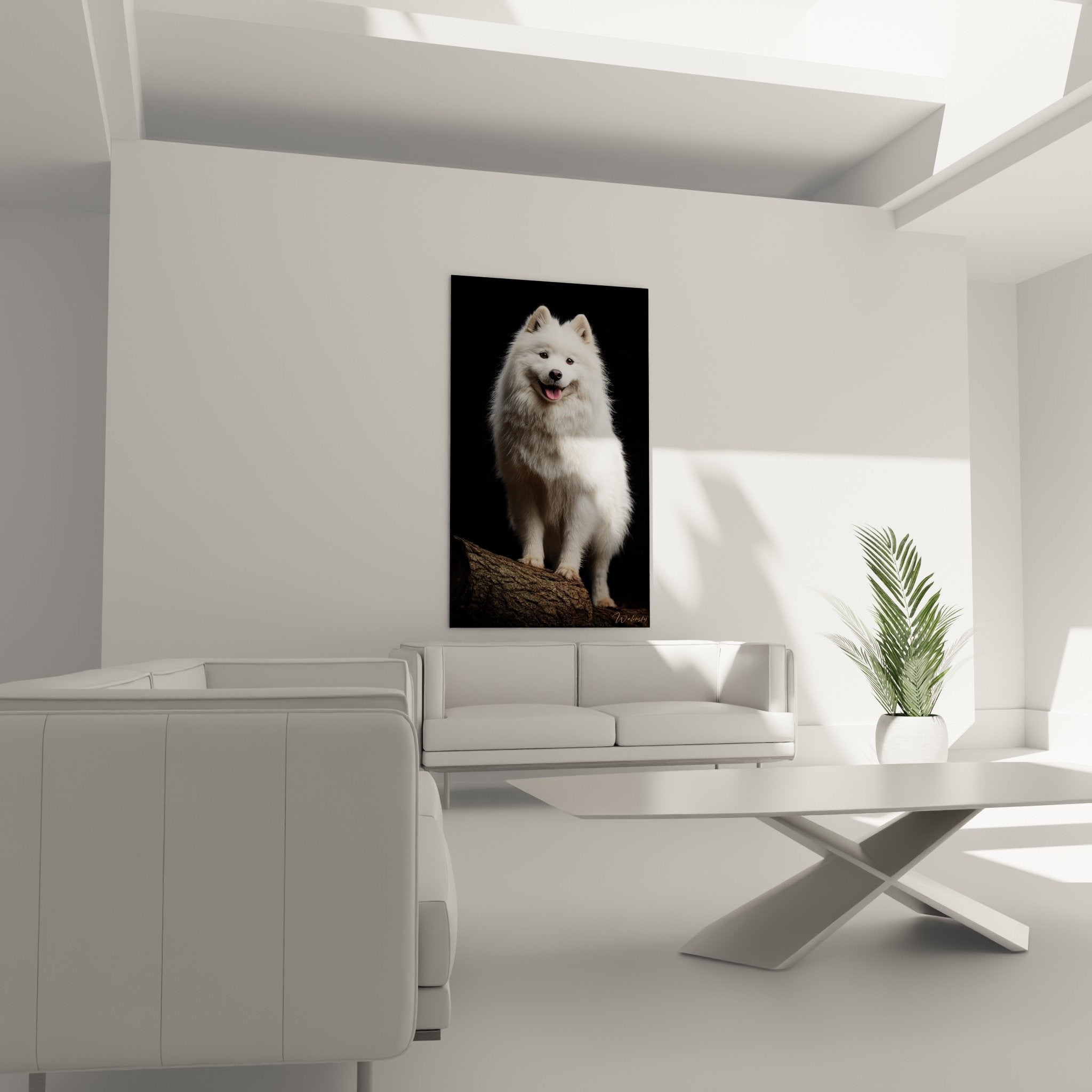 Détail rapproché du pelage blanc soyeux du Spitz Japonais, texture fine et expression douce de l'animal