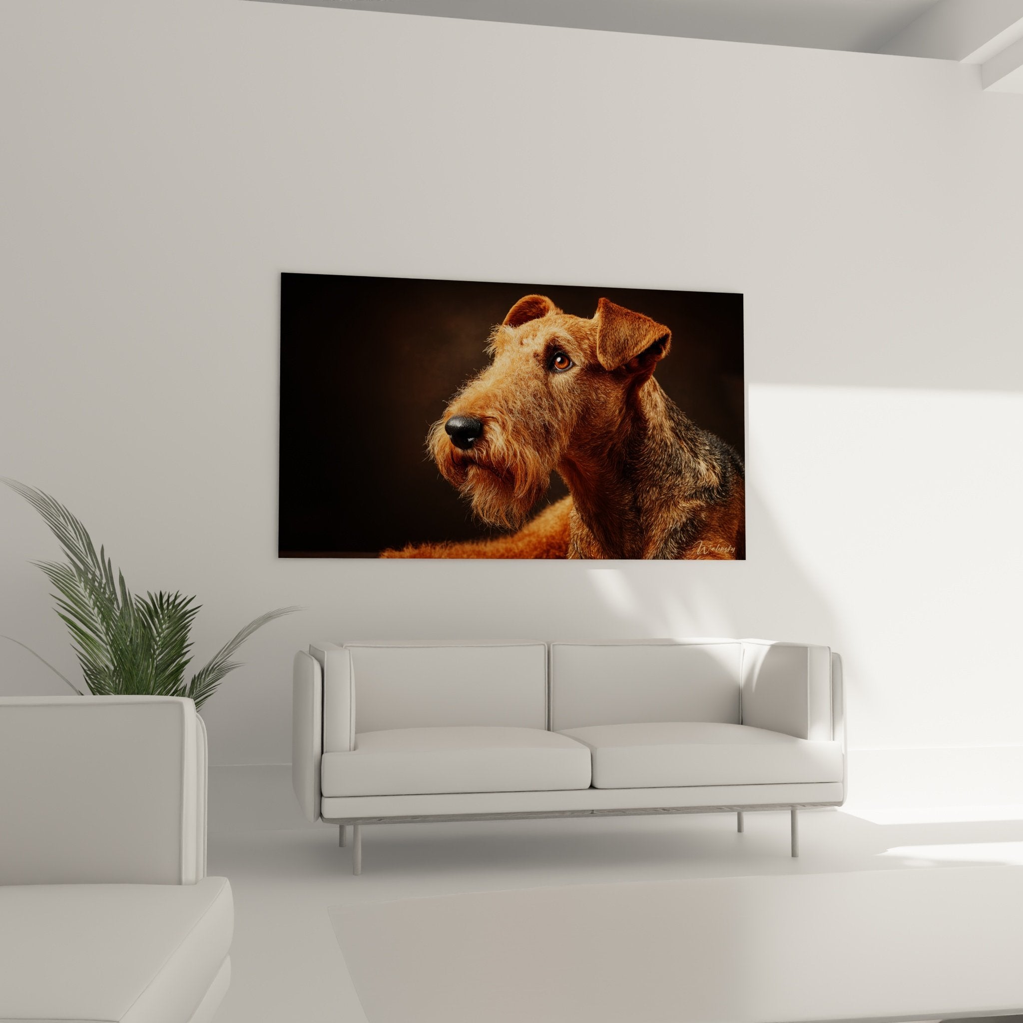 Detail des bernsteinfarbenen Blicks und des lockigen kupferfarbenen Fells des Airedale Terriers auf künstlerischer Leinwand