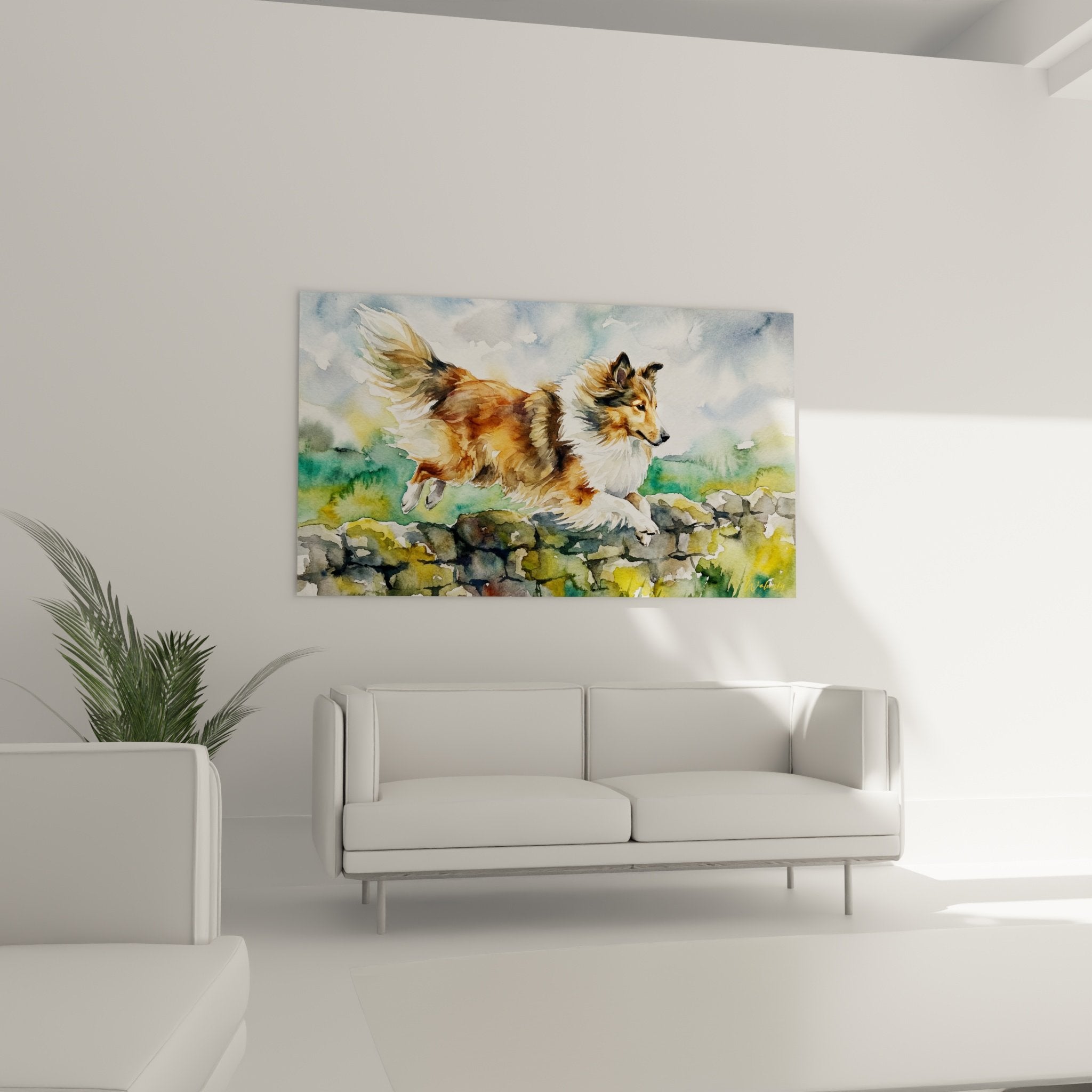 Détail aquarelle pelage fauve et blanc Berger des Shetland avec nuances dorées et cuivrées