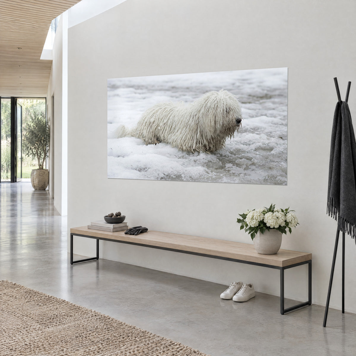 Quadro di un komondor dal pelo lungo color crema, muso nero e neve grigiastra, vista a tre quarti, muro bianco e panca in legno