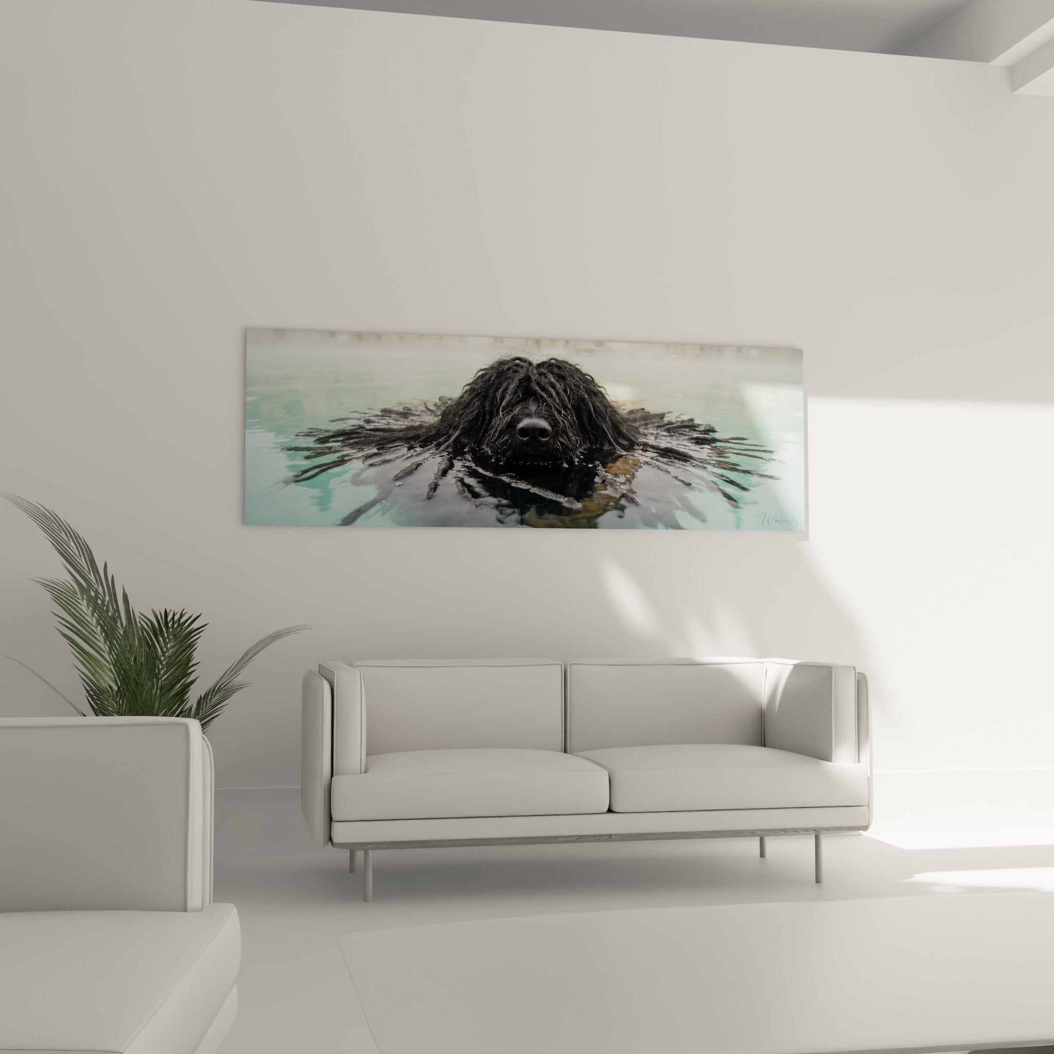 Detail pelage mouille Puli emergeant eau cristalline, texture poils ruisselants, art canin realiste