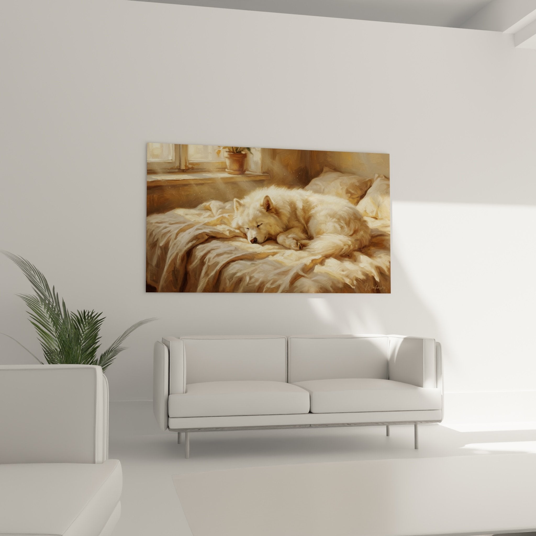 Détail du pelage soyeux du Samoyède endormi avec jeux de lumière dorée sur fond de textiles beiges