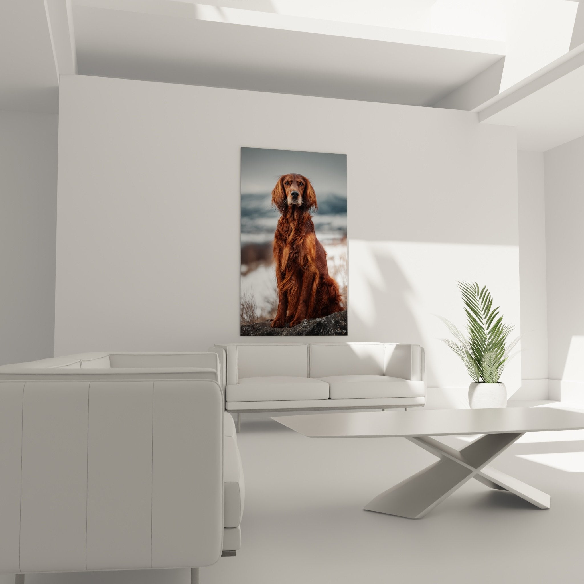 Détail rapproché du pelage acajou soyeux et regard expressif du Setter Irlandais sur toile