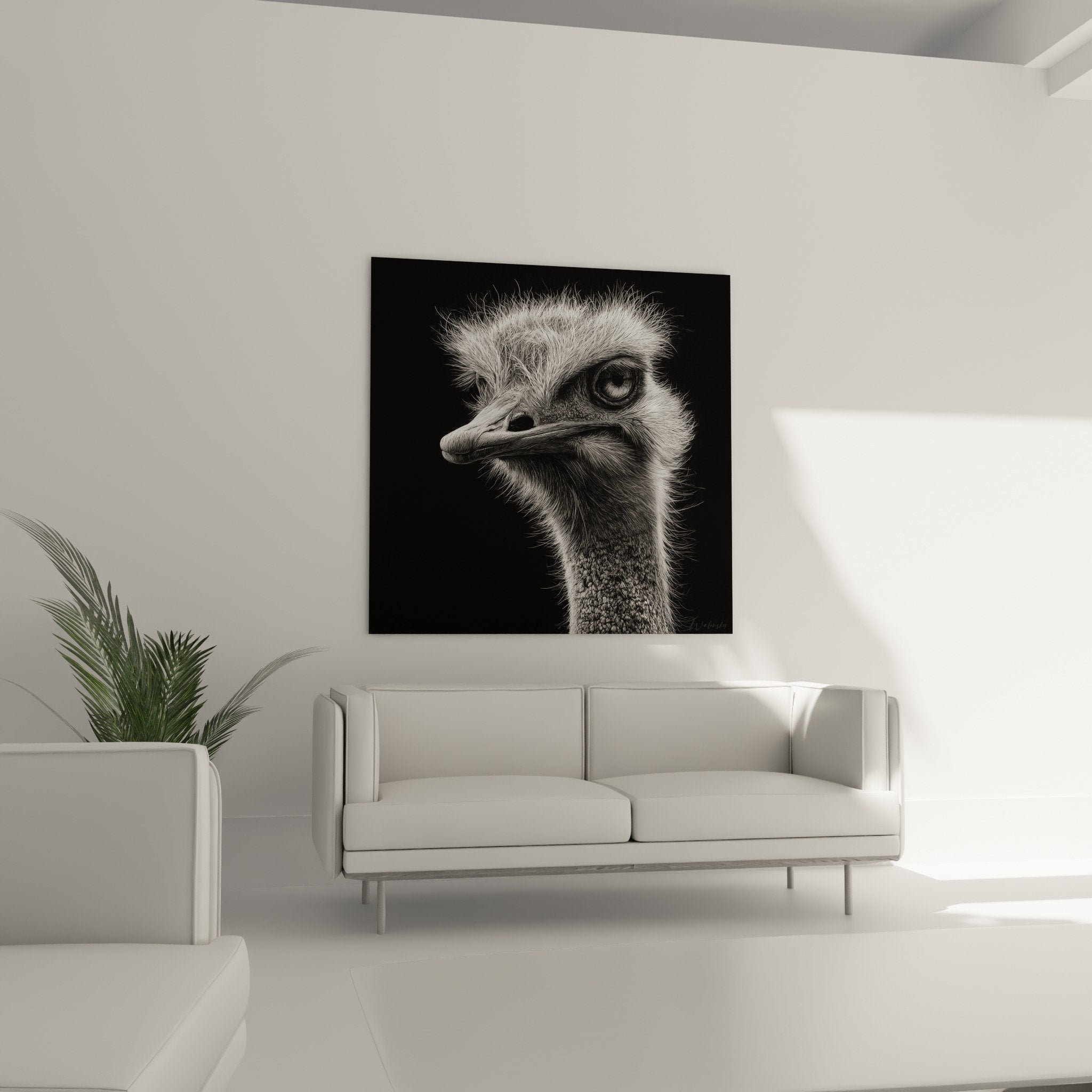 Gros plan sur les détails du plumage d'autruche en noir et blanc avec textures fines