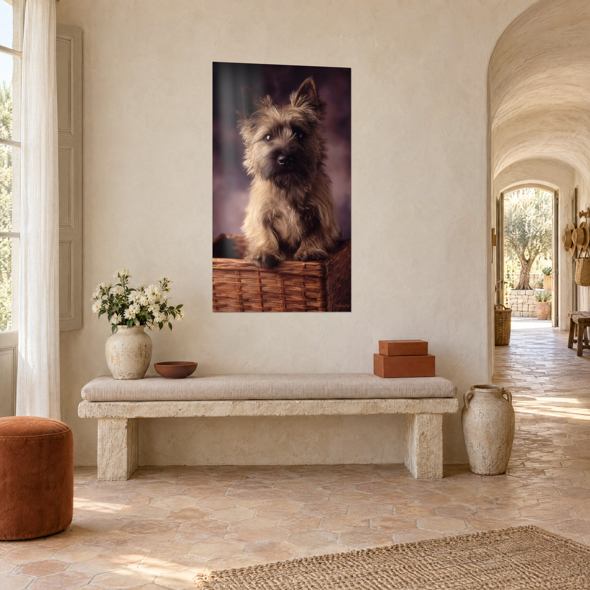 Πίνακας μικρό terrier με ζωηρά μάτια, ανάκατο τρίχωμα άμμου και κάρβουνου, φόντο σε χρώμα δαμάσκηνου, κρεμασμένο δίπλα σε πέτρινο παγκάκι σε αγροικία της Προβηγκίας