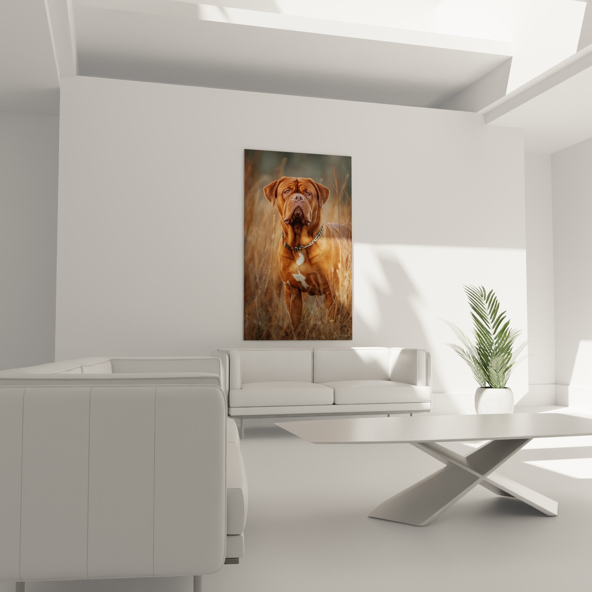 Detail rapproche portrait Dogue Bordeaux robe fauve cuivree regard expressif collier chaine
