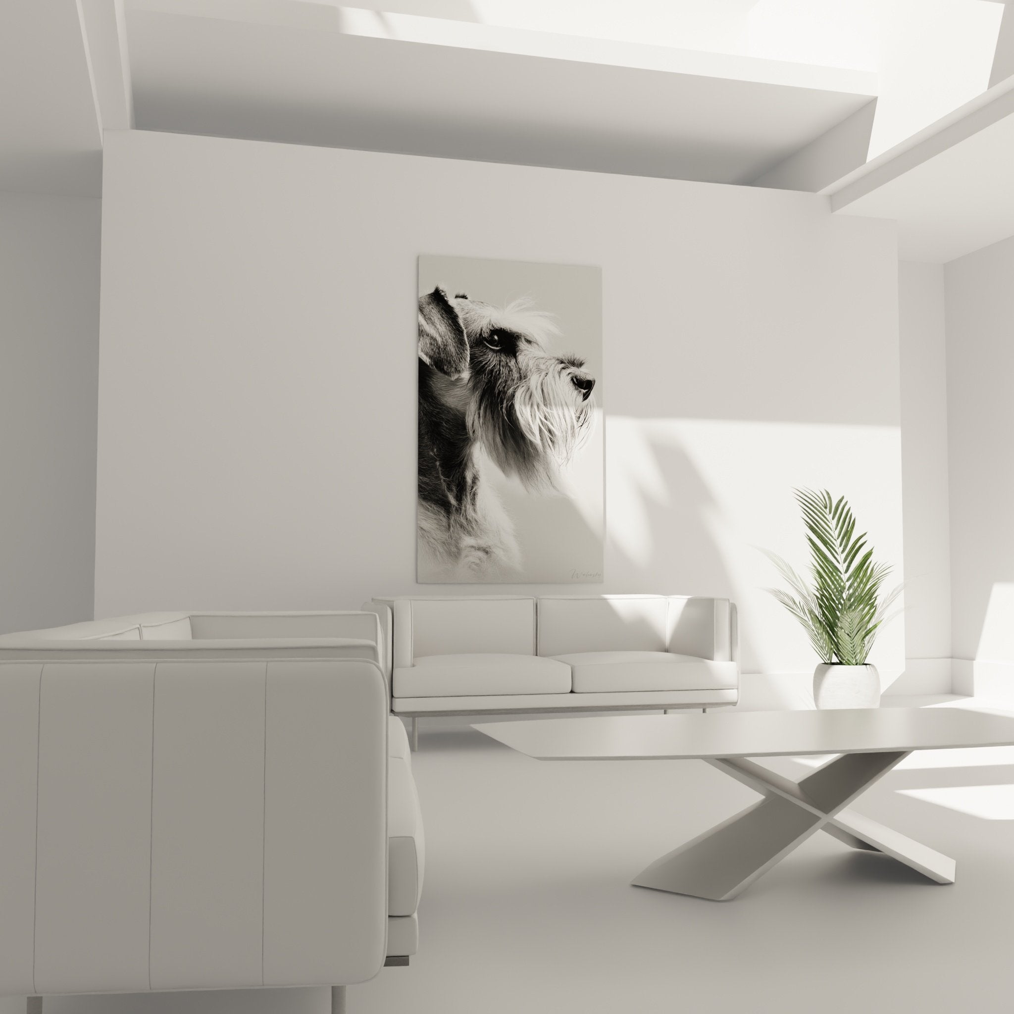 Détail du portrait Schnauzer montrant texture du pelage noir et blanc et expression noble du regard