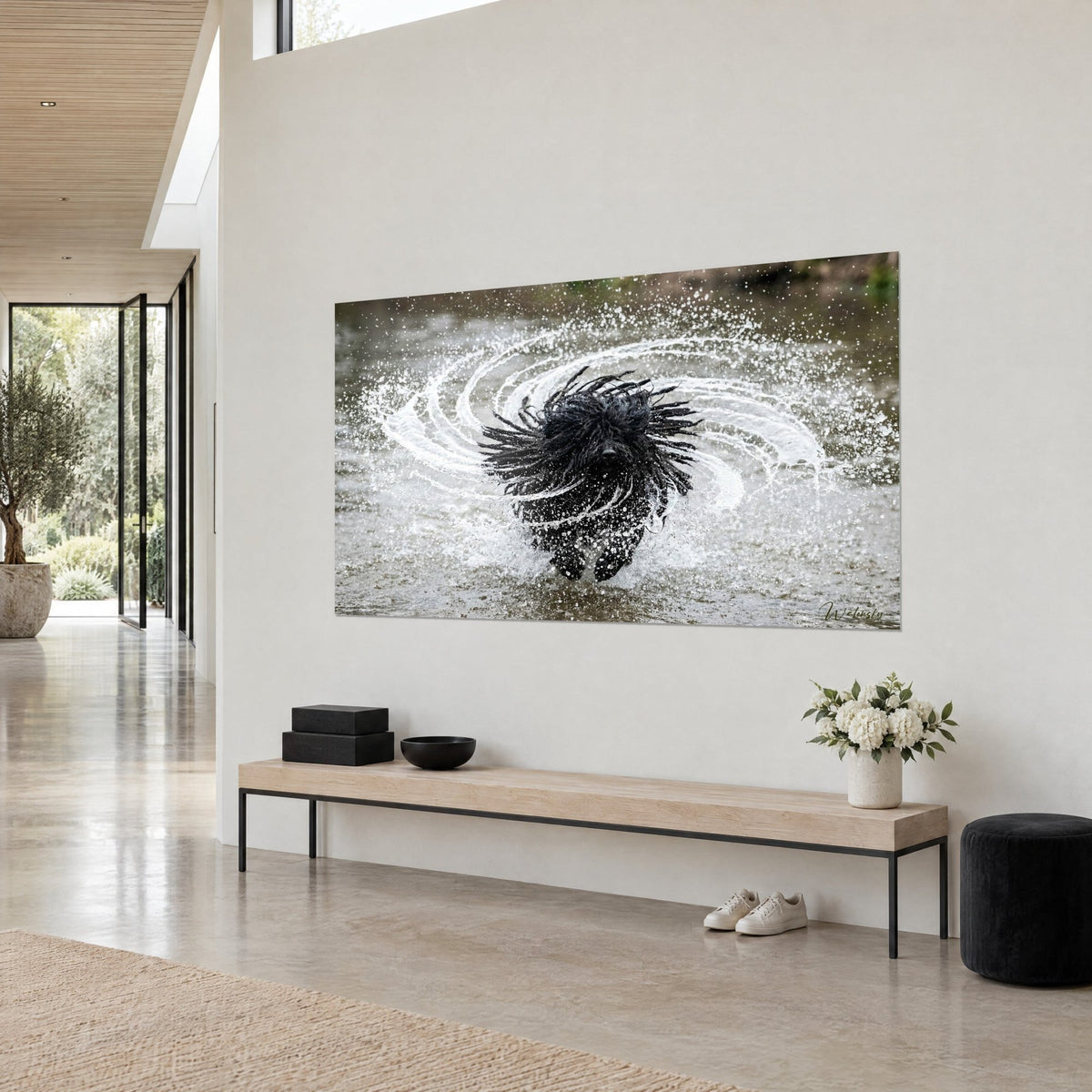 Quadro cane con lunghe dreadlocks scure che scuote l'acqua in spirali argentate, vista a tre quarti sopra una panca in legno chiaro