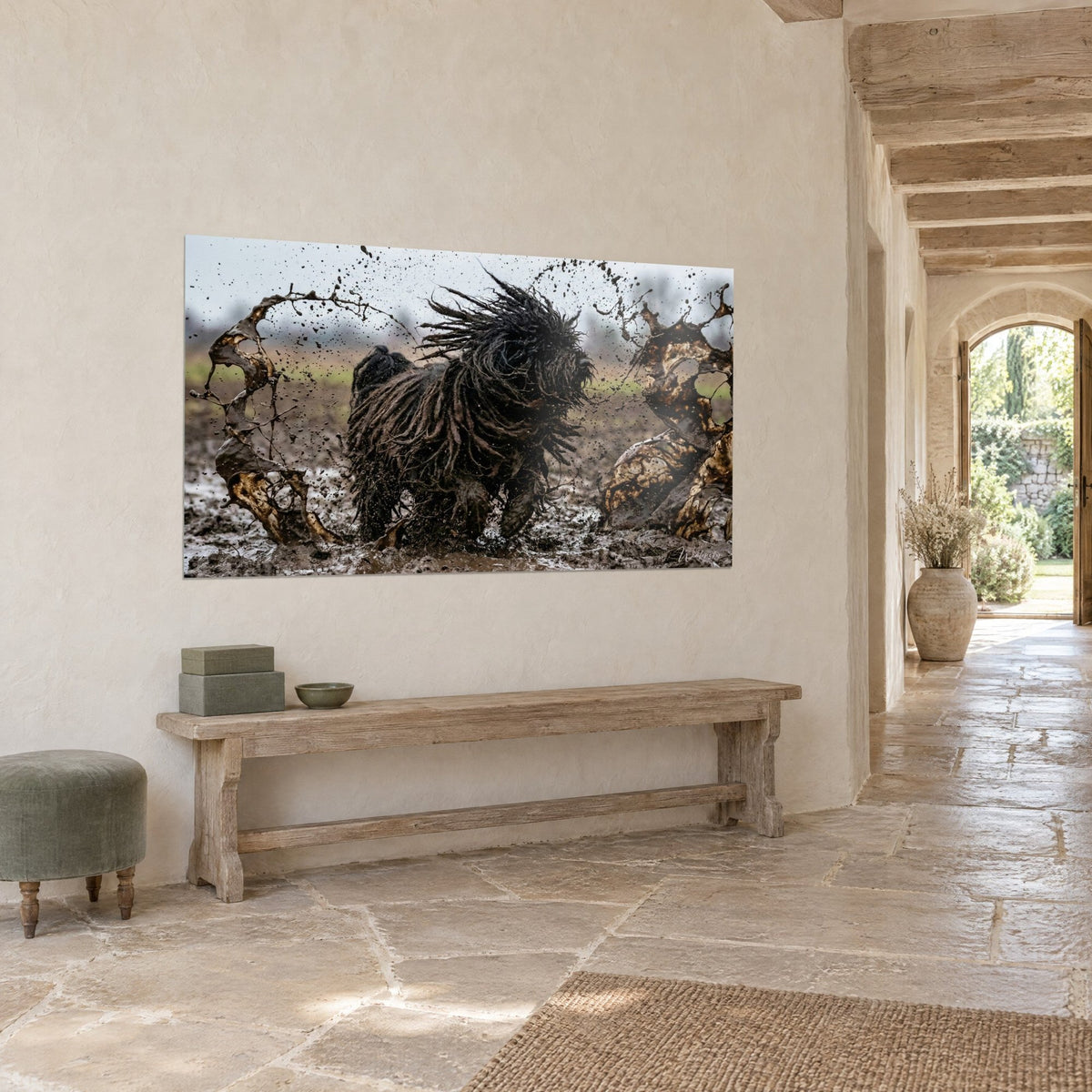 Quadro Puli con dreadlock color carbone sotto un cielo grigio chiaro, spruzzi di fango ocra, su un muro di pietra color crema in un ingresso