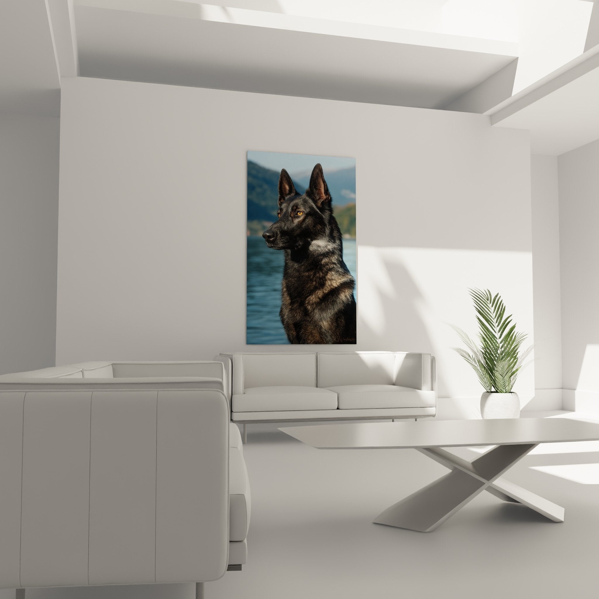 Close-up of the intense amber gaze of the Dutch Shepherd on decorative canvas