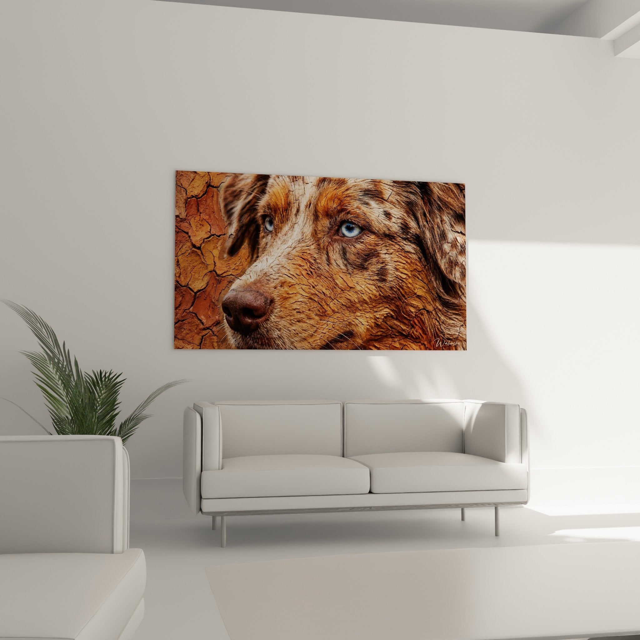 Gros plan regard bleu intense chien berger americain texture terre craquelée détail artistique