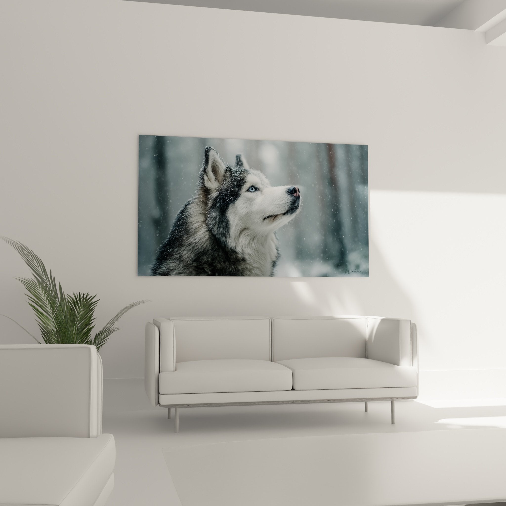 Detail durchdringender blauer Blick Alaskan Malamute, Schneekristalle im Fell, nachdenklicher Ausdruck nordischer Hund