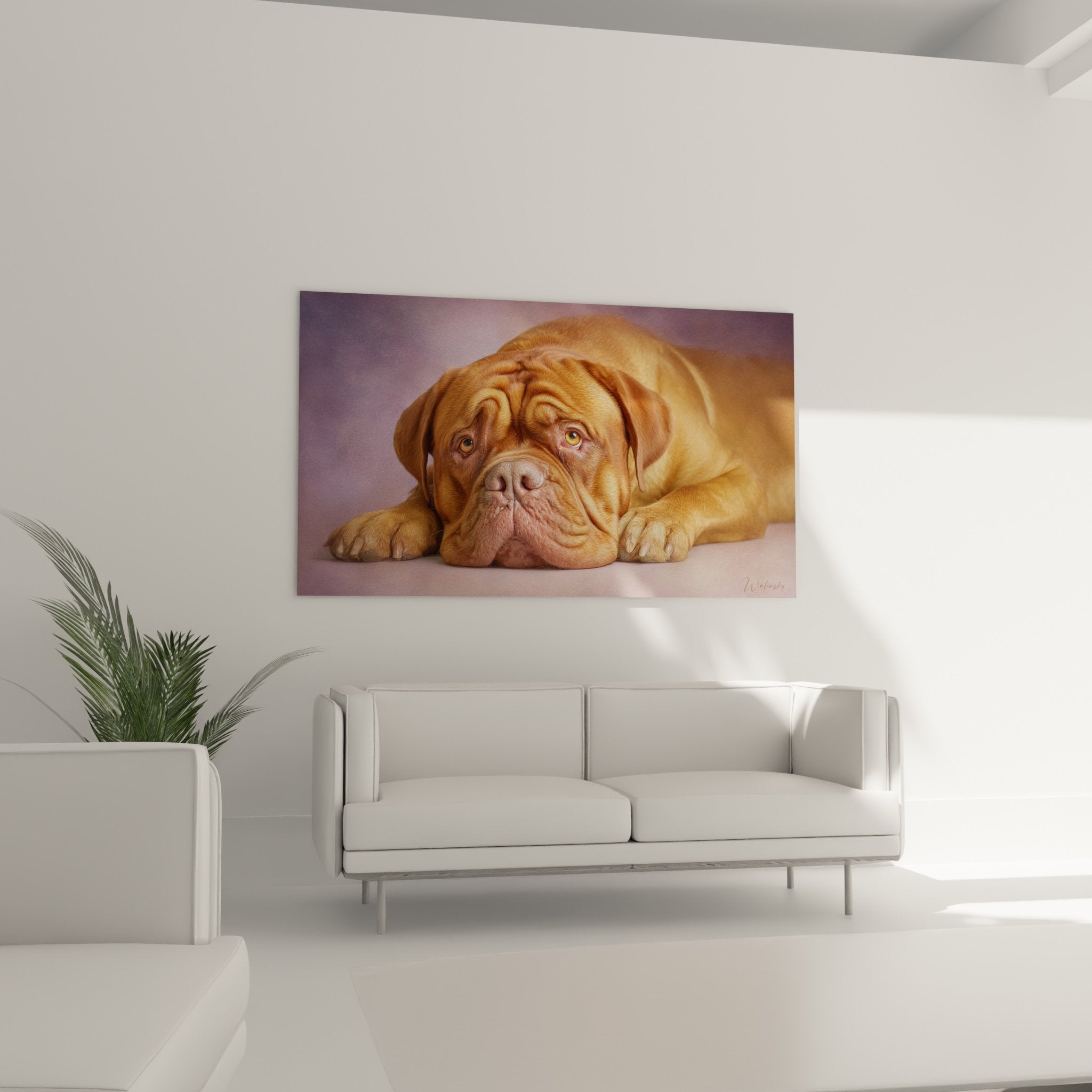 Détail du regard expressif du Dogue de Bordeaux, yeux ambrés et texture réaliste de la robe fauve