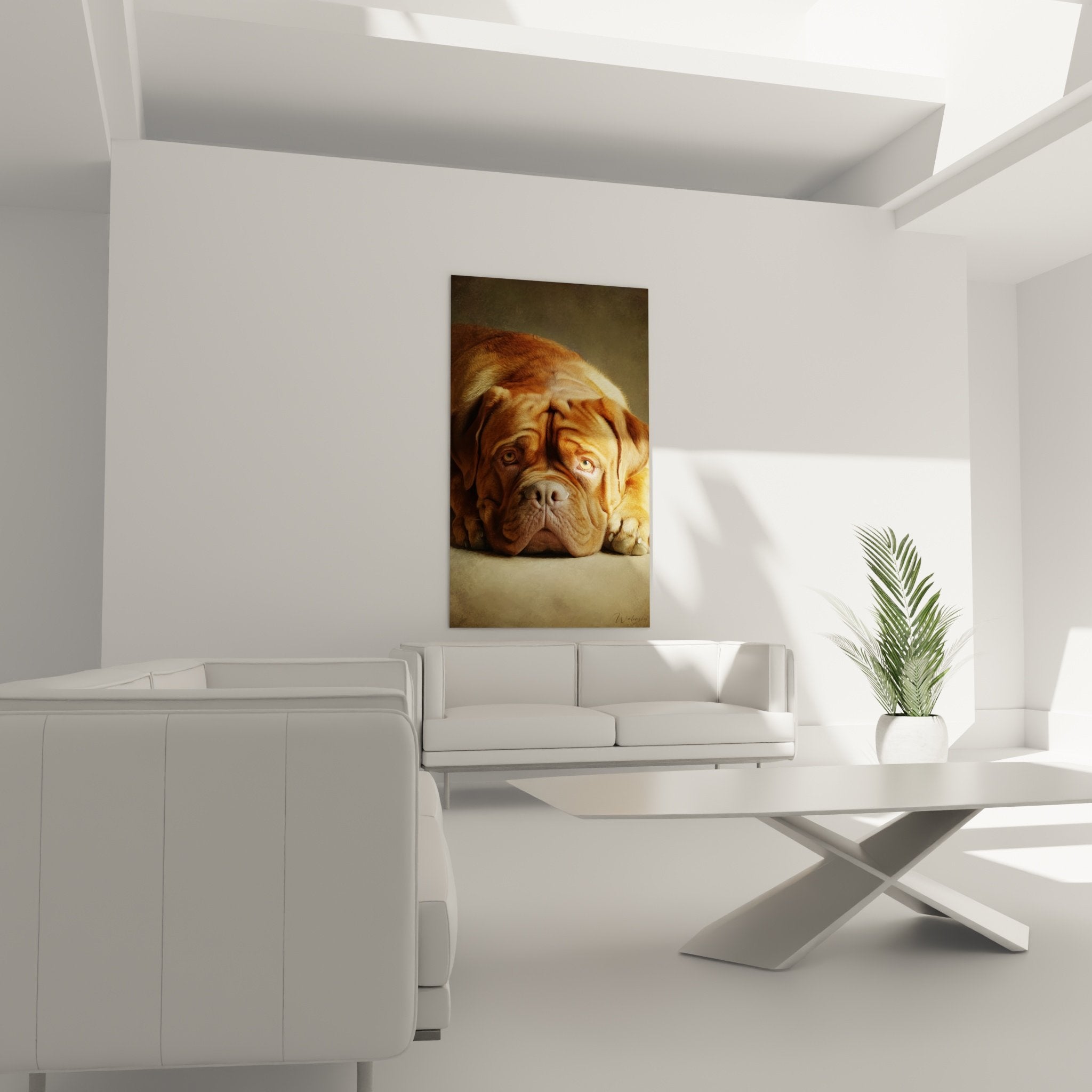 Détail du regard expressif et mélancolique du Dogue de Bordeaux avec texture du pelage roux et rides caractéristiques