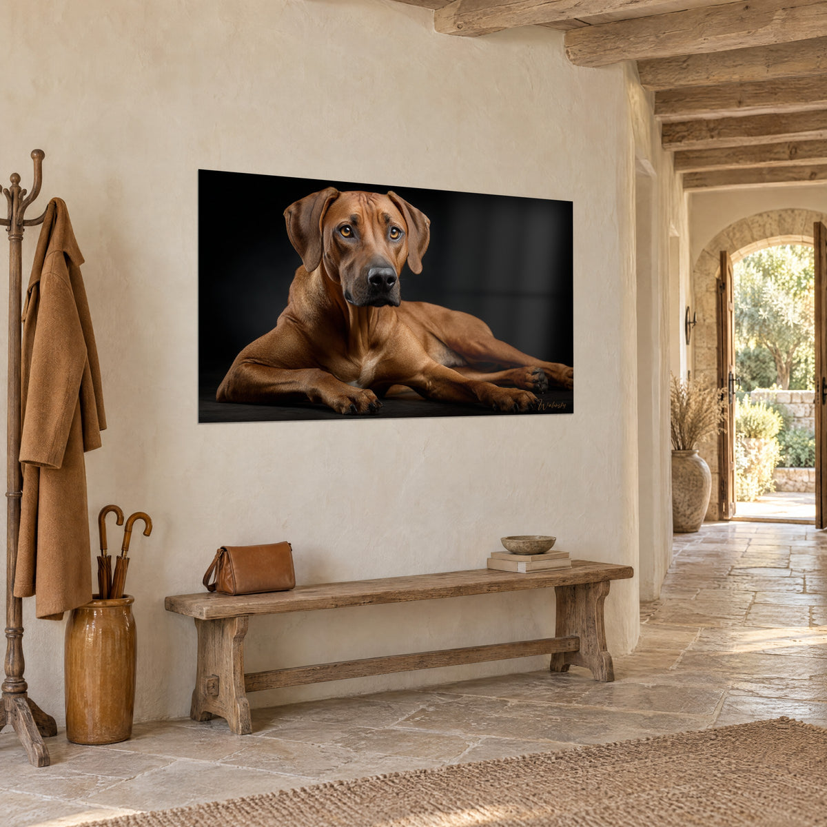 Πίνακας: χαλκόχρωμος Rhodesian Ridgeback με κρεμαστά αυτιά, τρία τέταρτα, μπεζ πέτρινος τοίχος και ξύλινος πάγκος, αγροτική είσοδος