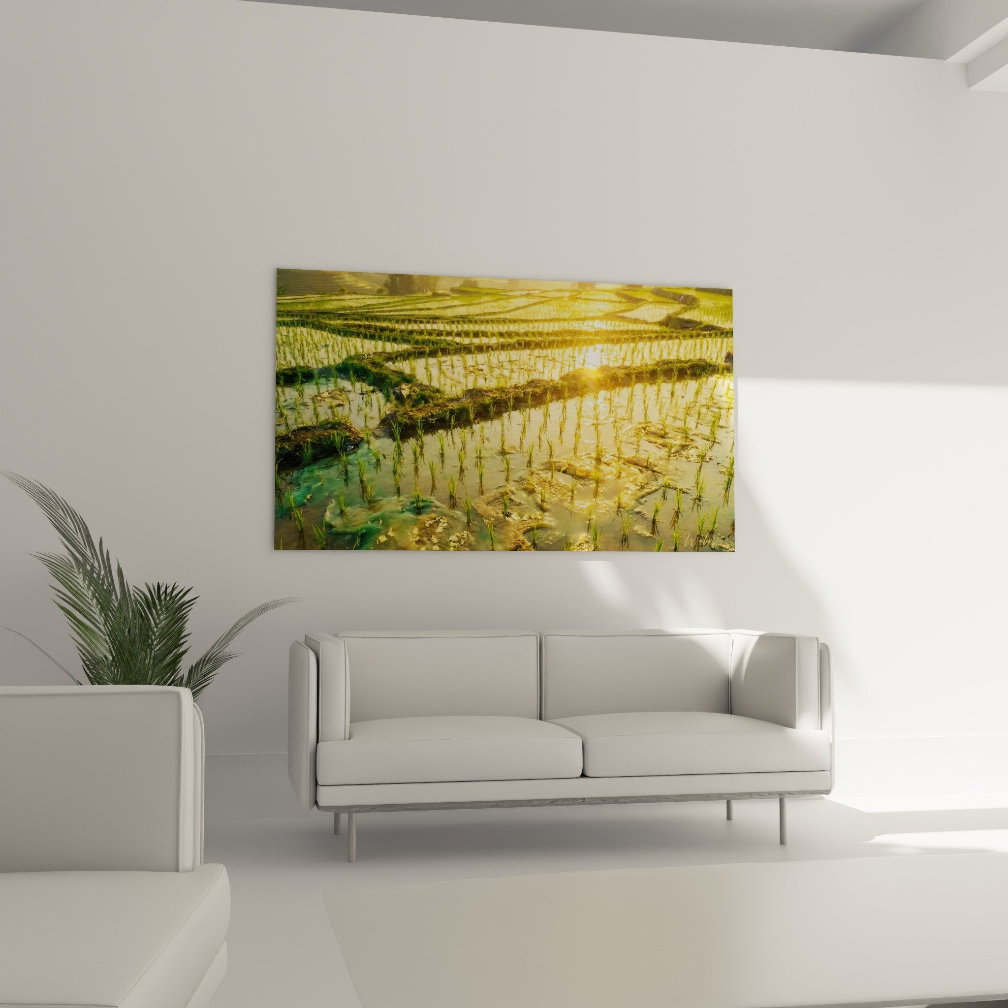 detail rizieres bali reflets dores eau terrasses agriculture traditionnelle