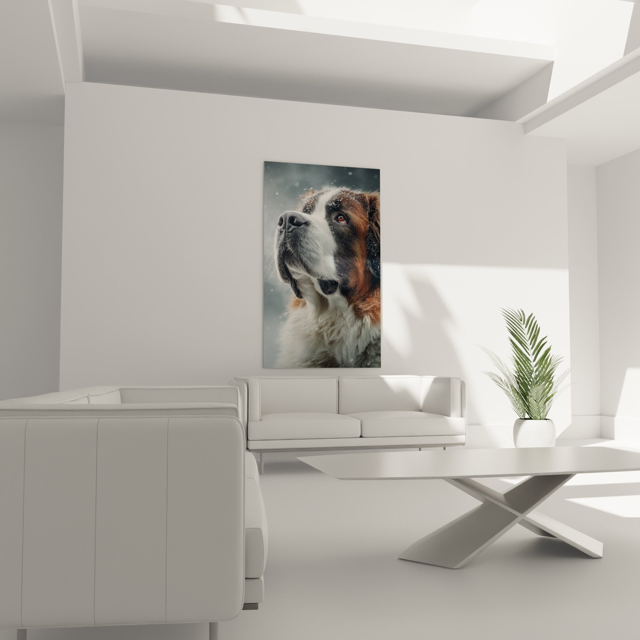 Détail Saint Bernard œil ambré expressif flocons neige pelage roux qualité impression haute définition