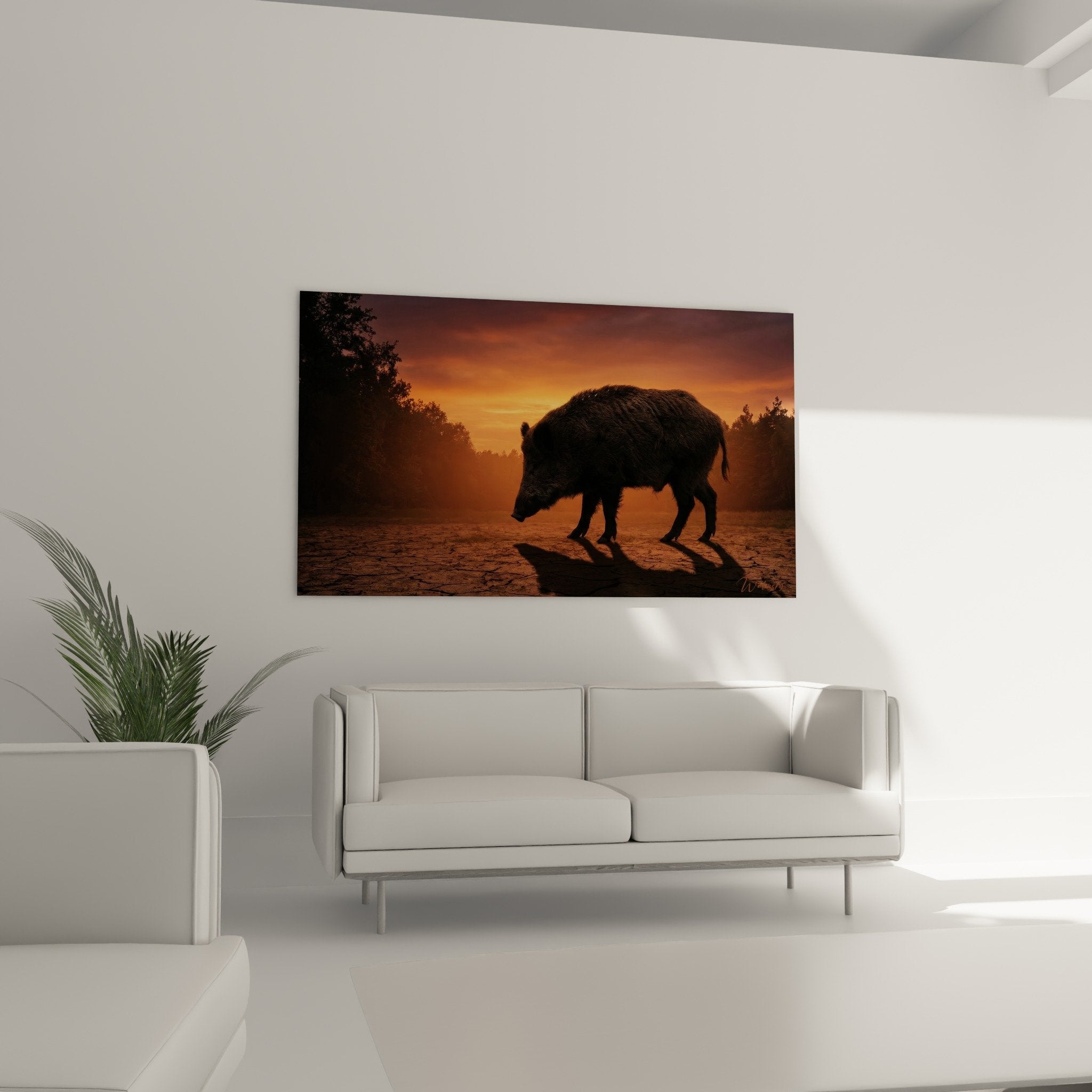 Detail wild boar silhouette dark shadow golden reflections sunset light
