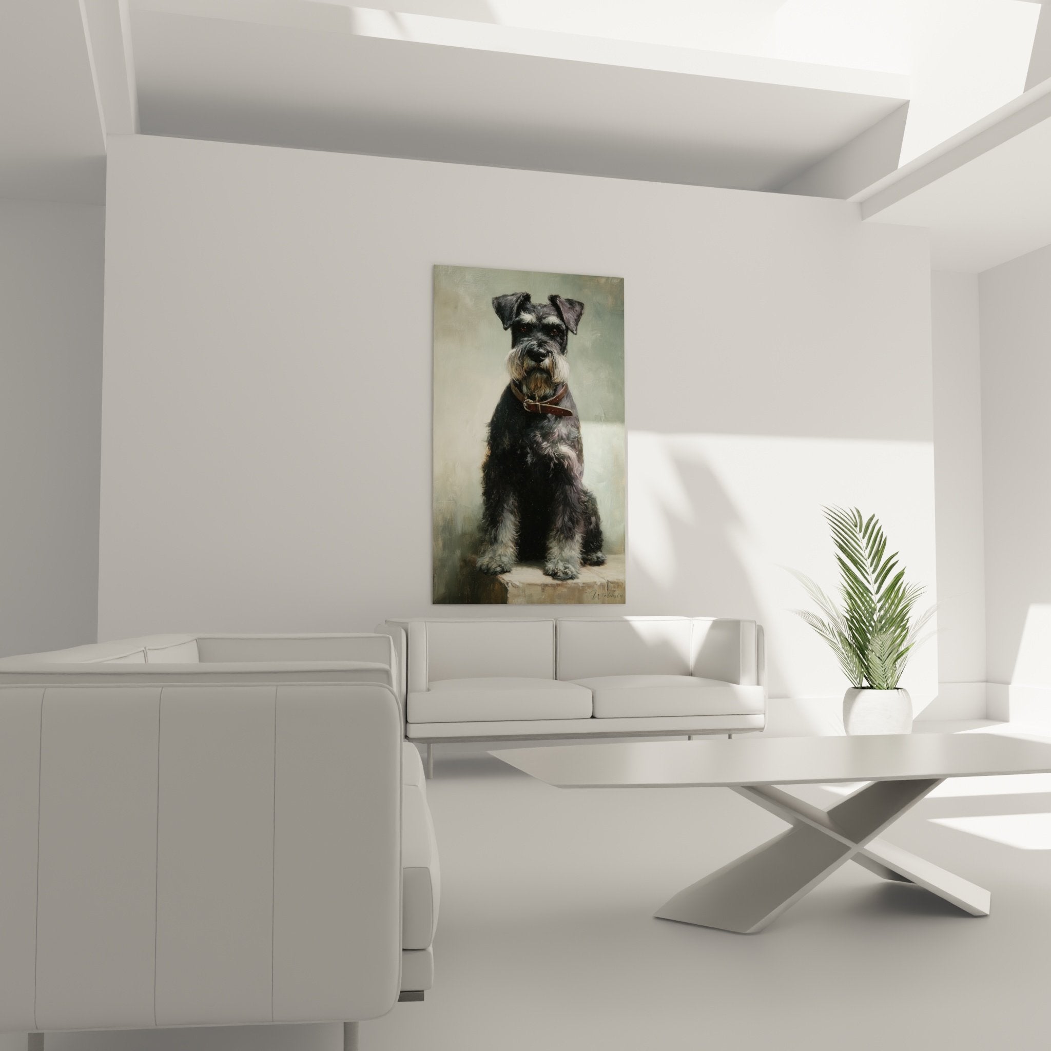 Détail du portrait Schnauzer : regard expressif, pelage gris texturé et collier de cuir marron authentique