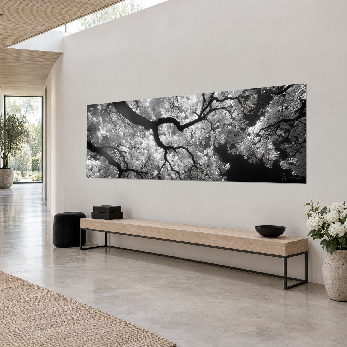 Tableau canopée sombre vue d'en dessous, troncs noirs ramifiés et feuilles argentées, sur un mur blanc, banc en bois clair