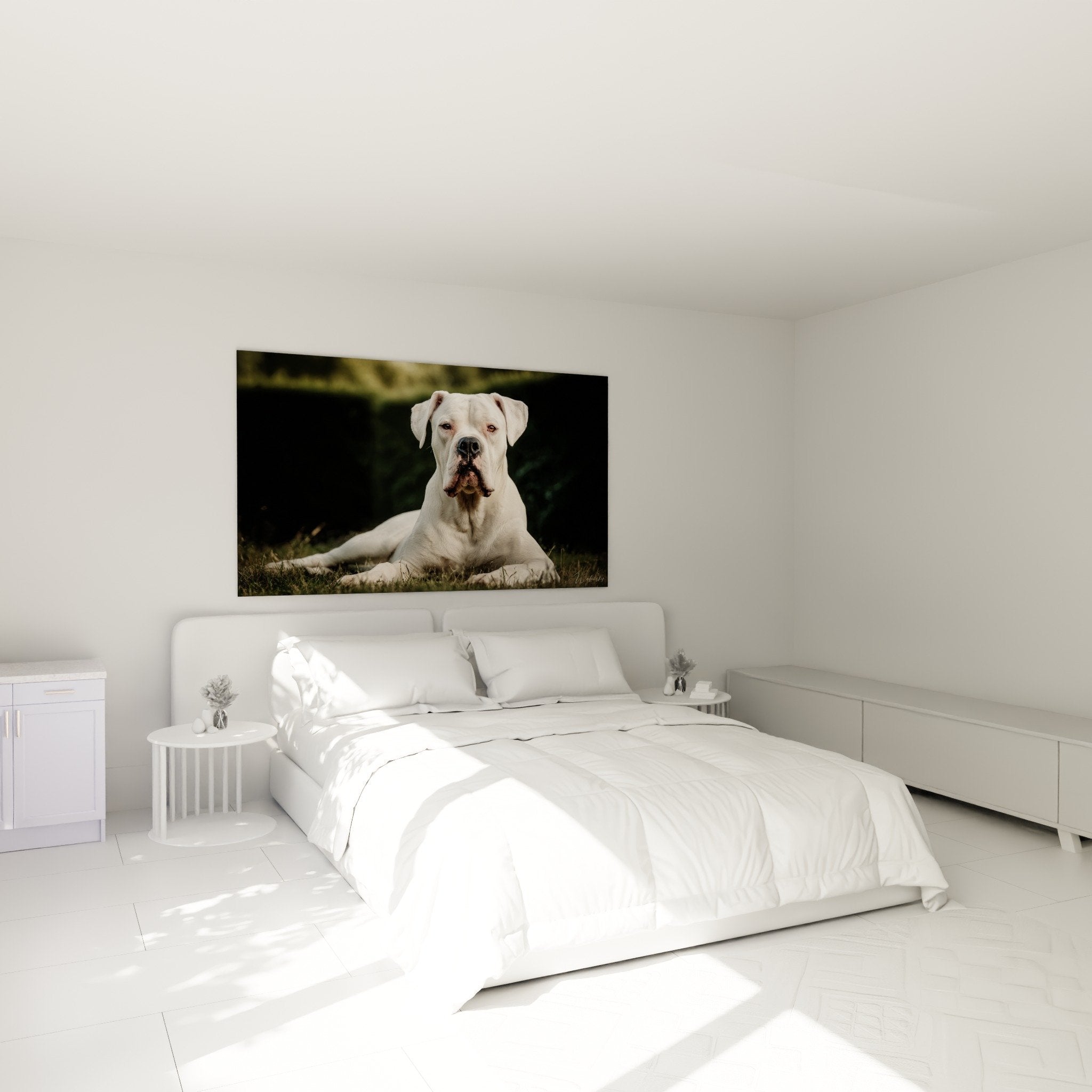 Tableau Dogue Argentin blanc dans chambre moderne aux tons neutres et mobilier contemporain