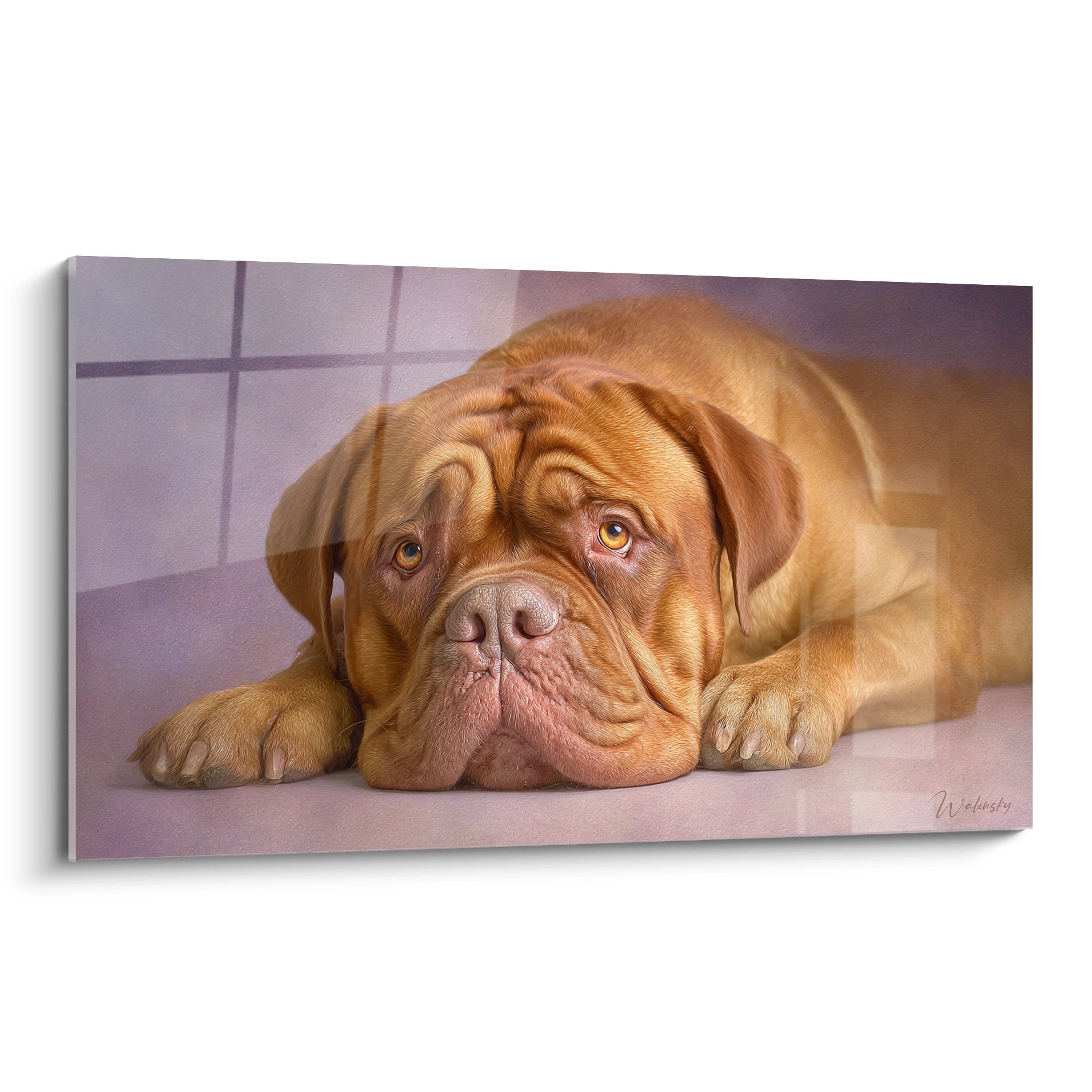 Portrait touchant d'un Dogue de Bordeaux allongé aux tons dorés sur fond violet, regard mélancolique et tendre