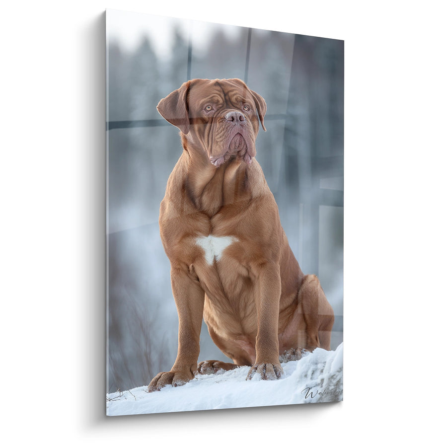 Tableau Dogue de Bordeaux Assis dans la Neige - Portrait Noble d'Hiver - Edition Dogue de Bordeaux