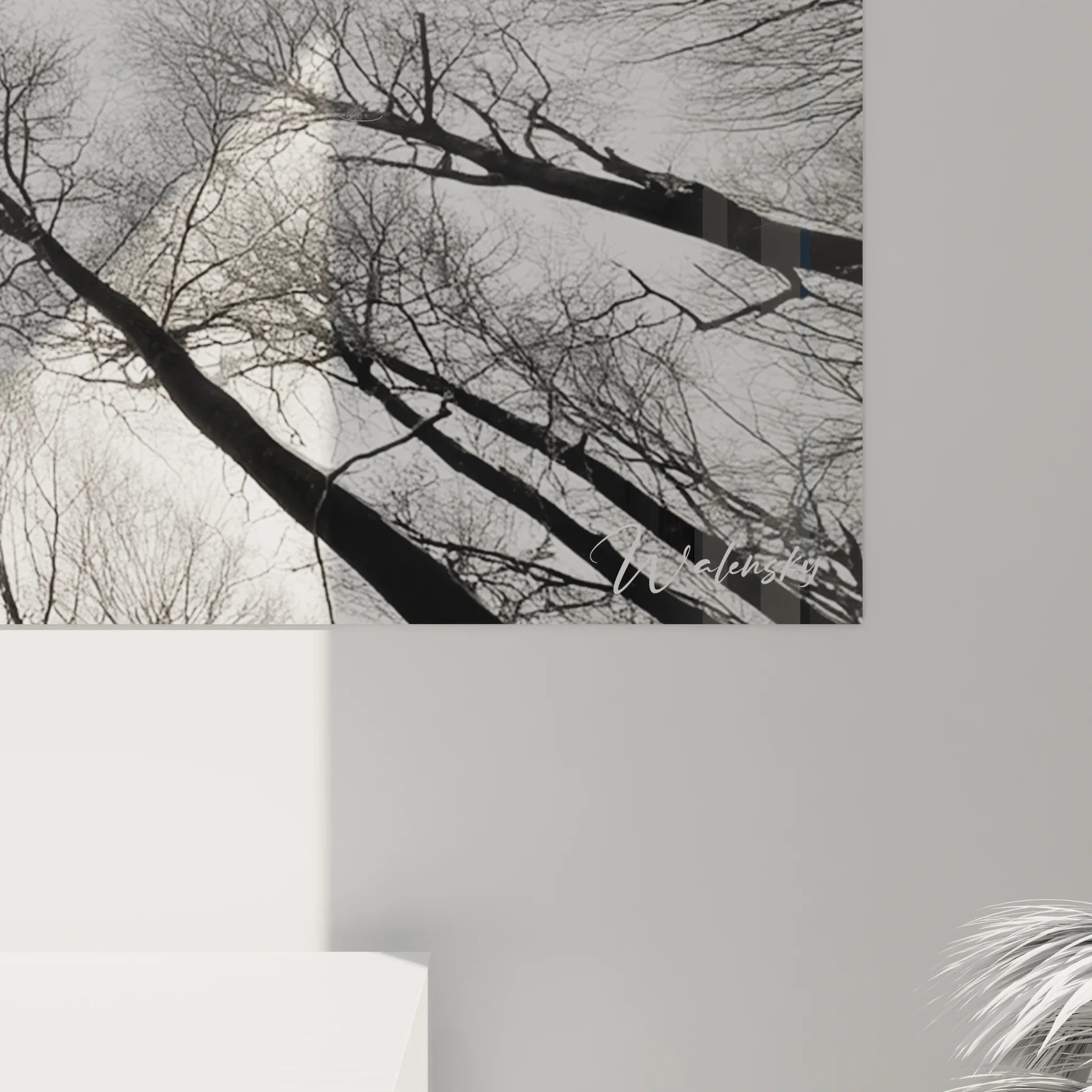 Vue d'ensemble du tableau canopée forestière noir et blanc dans un intérieur contemporain