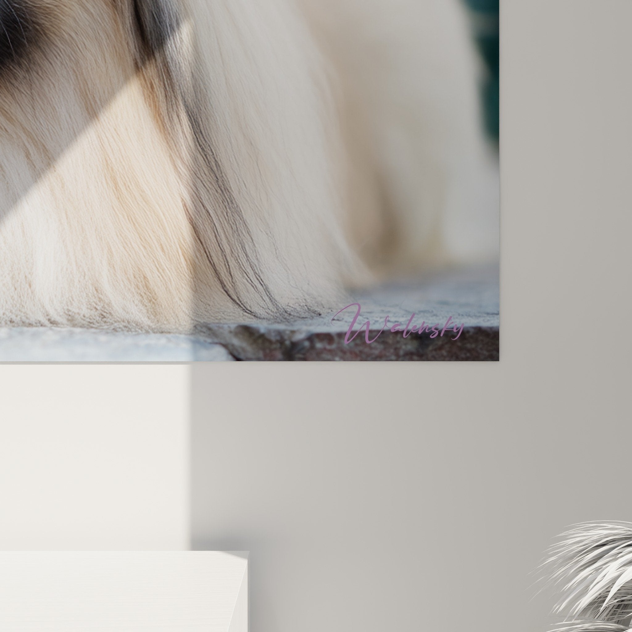 Vue ensemble tableau pekinois salon decoration murale tons dores mauves style romantique