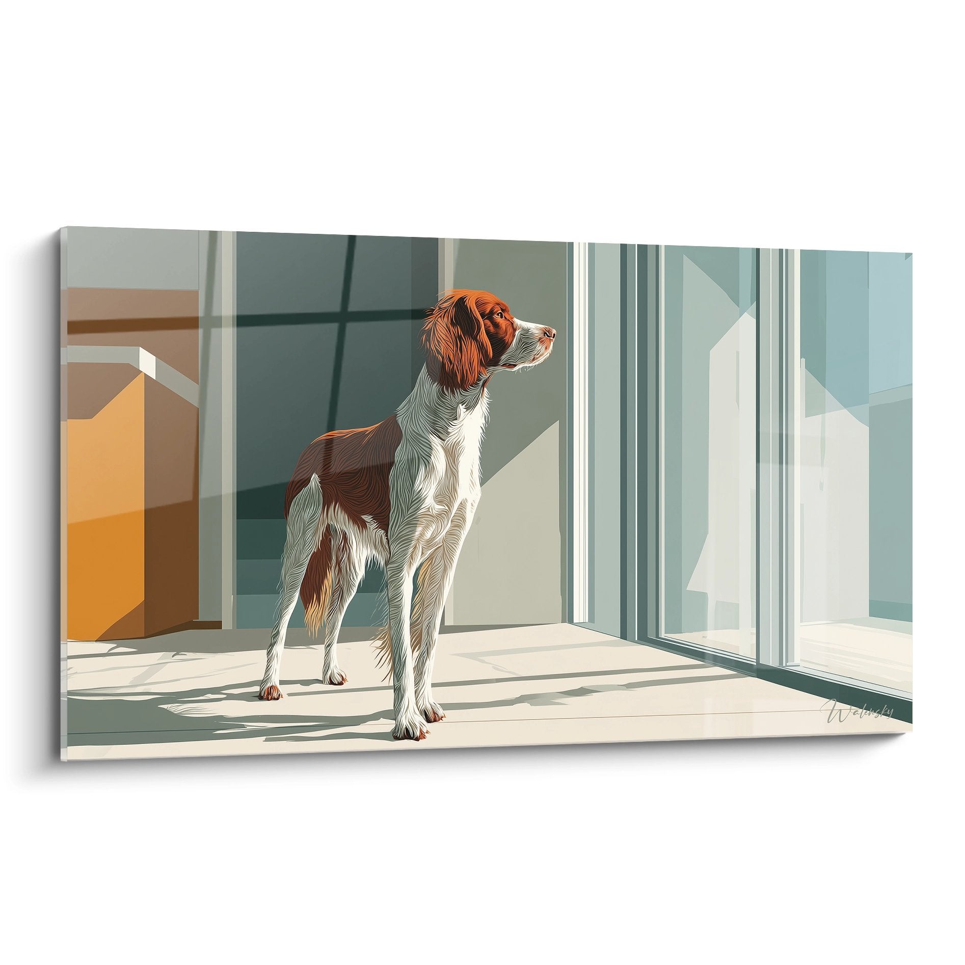 Épagneul Breton roux et blanc contemplatif près d'une grande baie vitrée dans un intérieur moderne lumineux