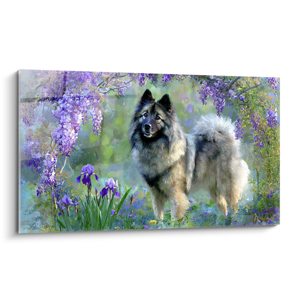 Tableau Eurasier Majestueux dans Jardin Fleuri de Glycines - Sérénité Printanière - Edition Eurasier