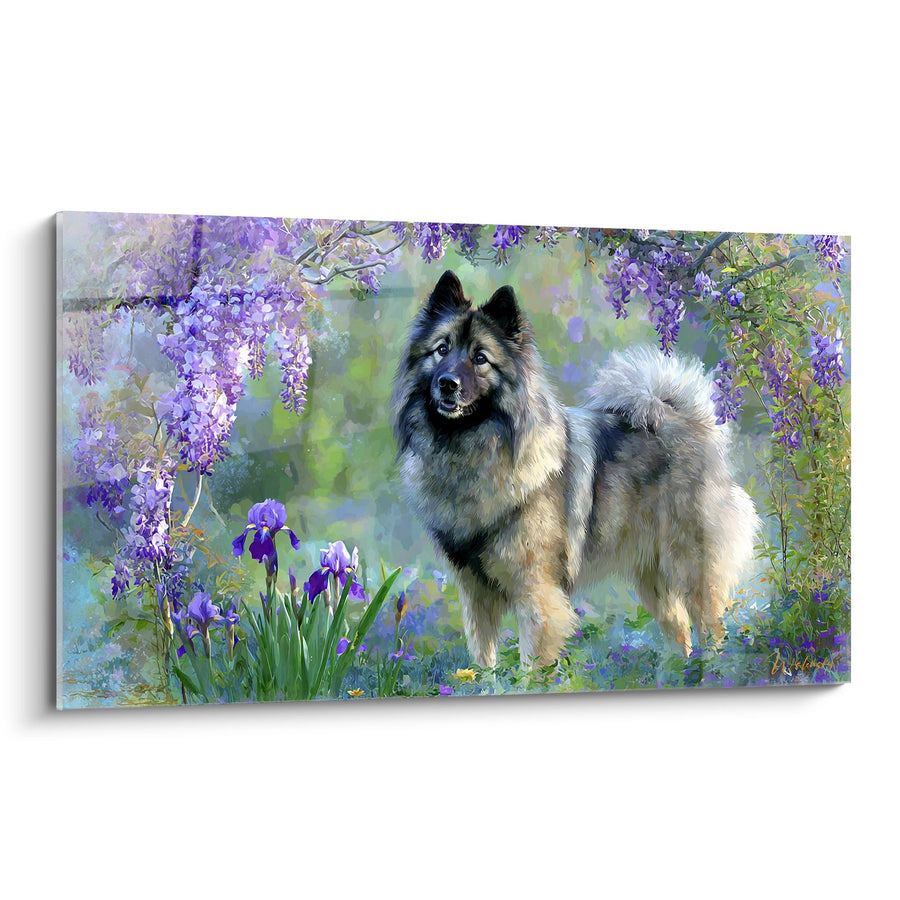 Tableau Eurasier Majestueux dans Jardin Fleuri de Glycines - Sérénité Printanière - Edition Eurasier