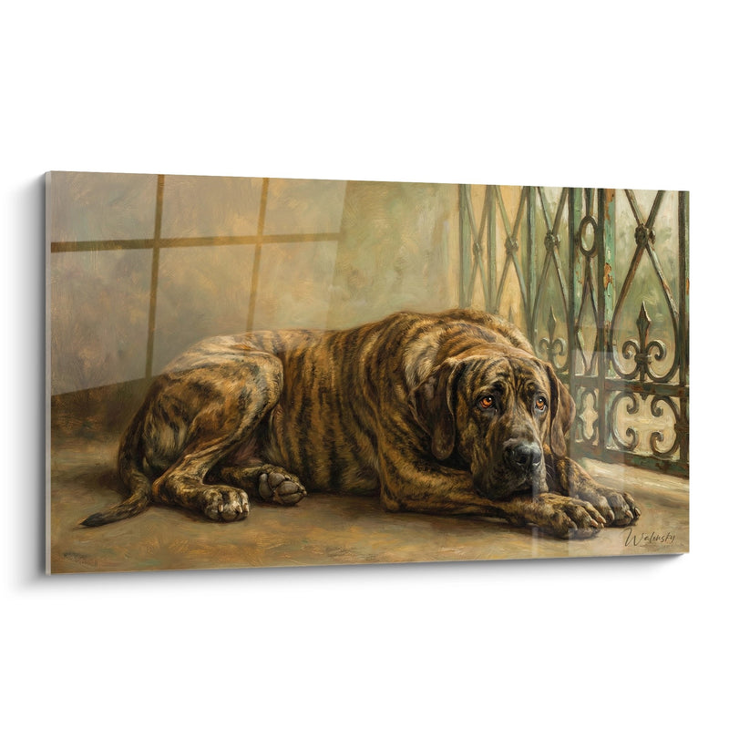 Tableau Chien Bringé Allongé sur Carrelage près d'une Grille - Repos Contemplatif - Edition Fila Brasileiro