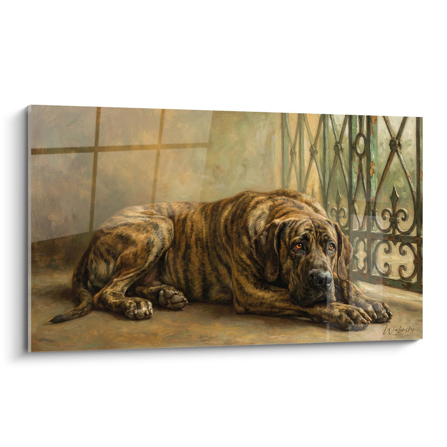 Tableau Chien Bringé Allongé sur Carrelage près d'une Grille - Repos Contemplatif - Edition Fila Brasileiro
