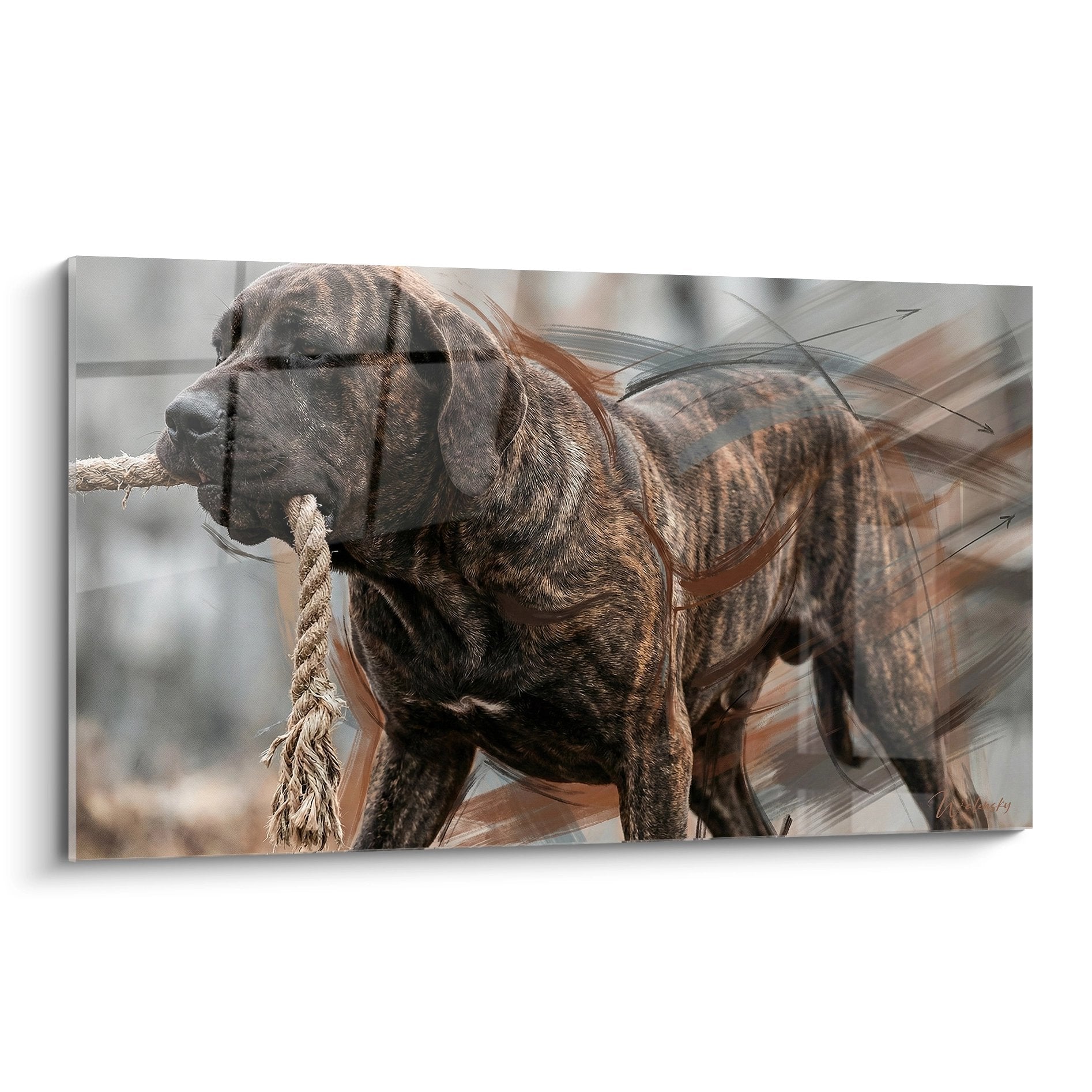 Portrait artistique Fila Brasileiro bringé tenant corde avec effets dynamiques oranges et gris