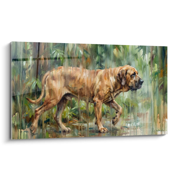Tableau Chien Roux sous la Pluie dans la Forêt - Refuge Naturel - Edition Fila Brasileiro
