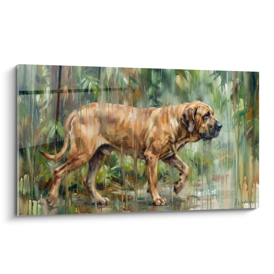 Tableau Chien Roux sous la Pluie dans la Forêt - Refuge Naturel - Edition Fila Brasileiro
