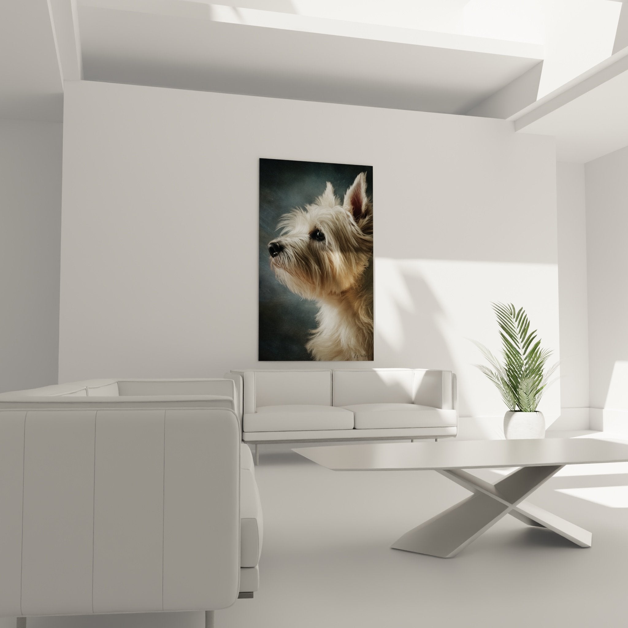 Gros plan portrait Cairn Terrier pelage soyeux beige expression douce regard noir detail