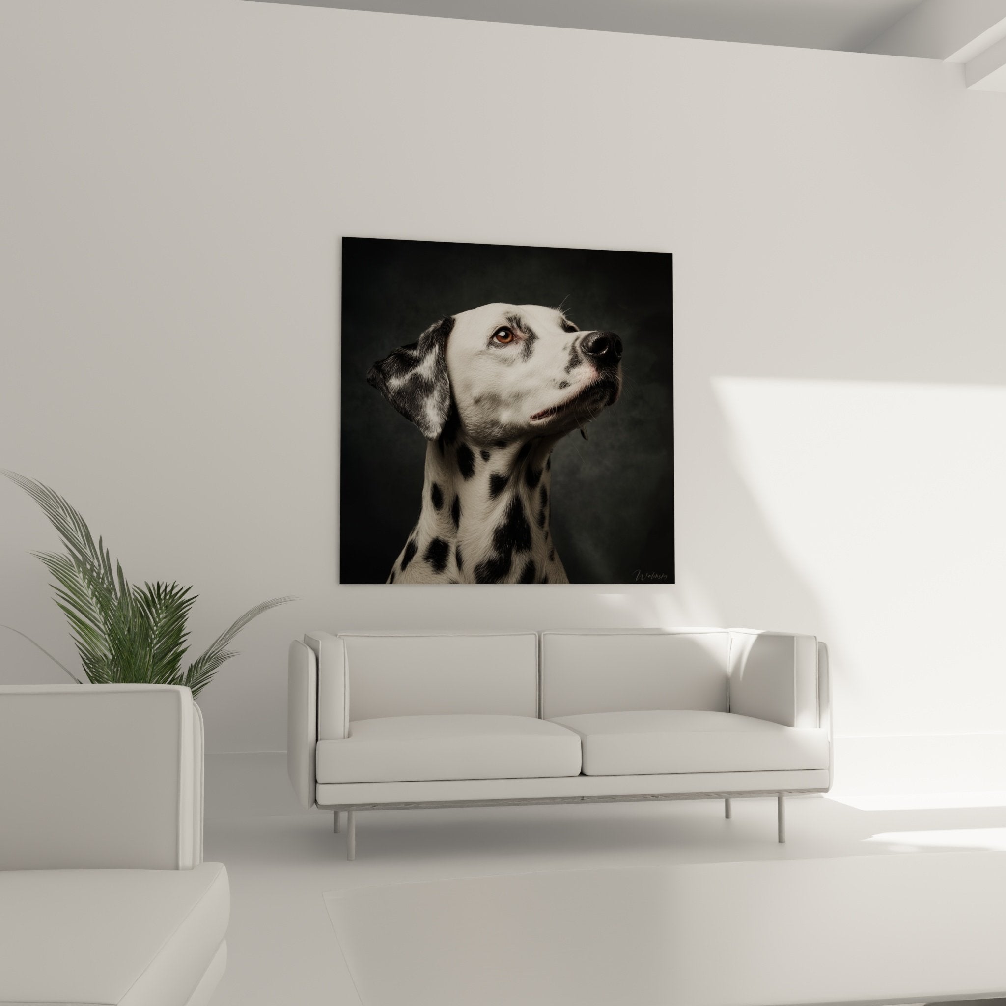 Gros plan portrait dalmatien taches noires pelage blanc regard ambre expression noble