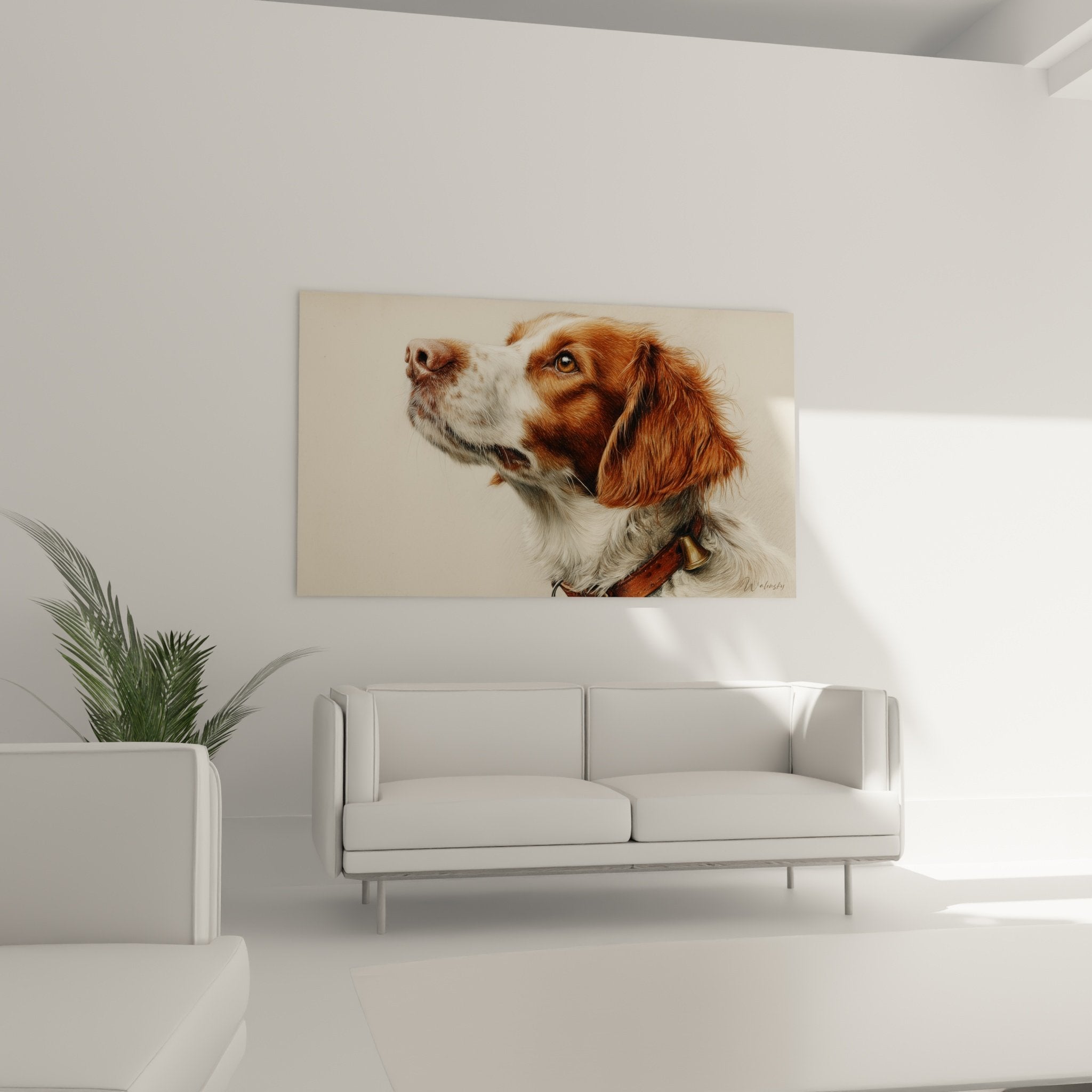 Primo piano ritratto spaniel bretone occhi ambra orecchie rosse mantello dettagliato collare in pelle