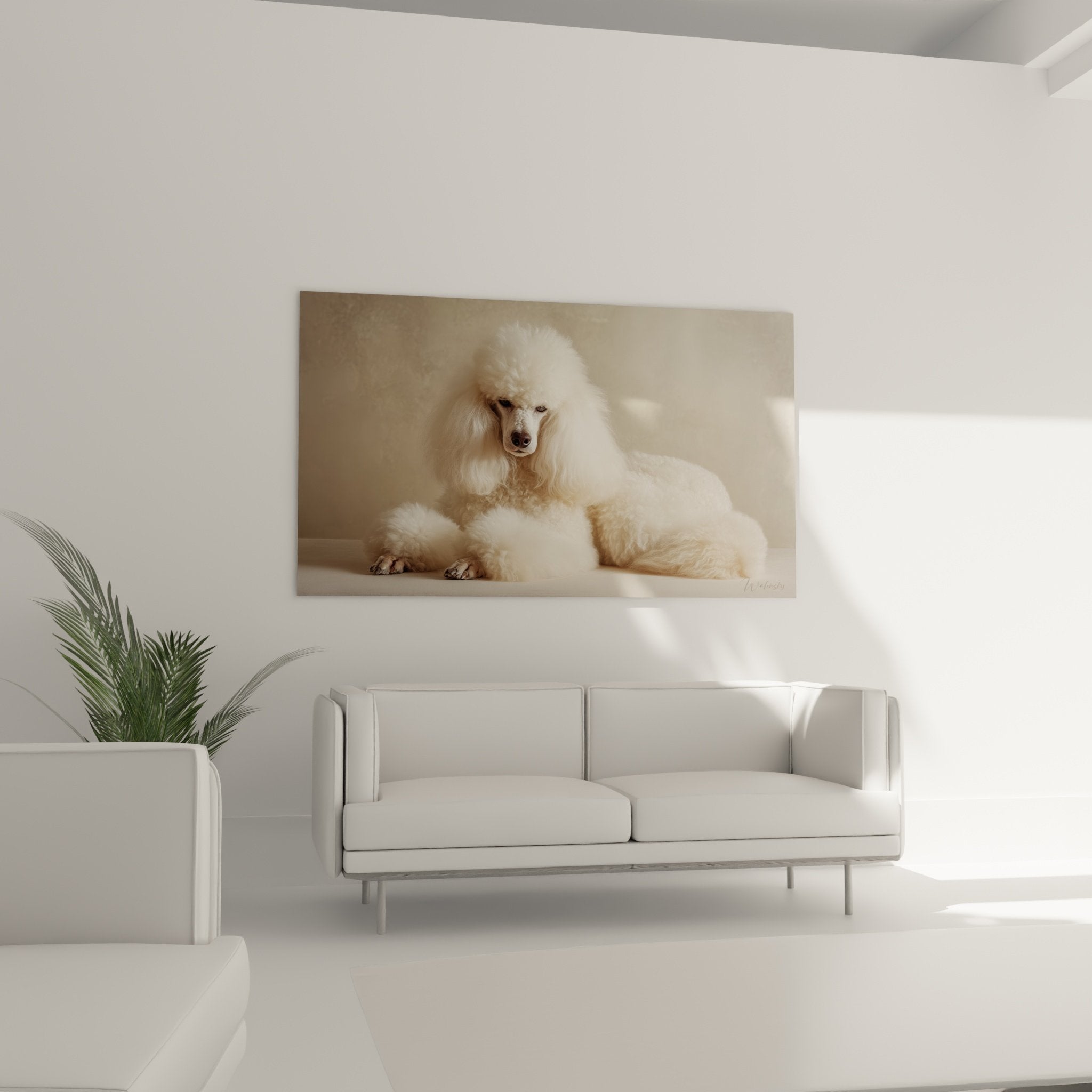 Gros plan sur pelage bouclé blanc du caniche, texture détaillée et regard expressif, art animalier