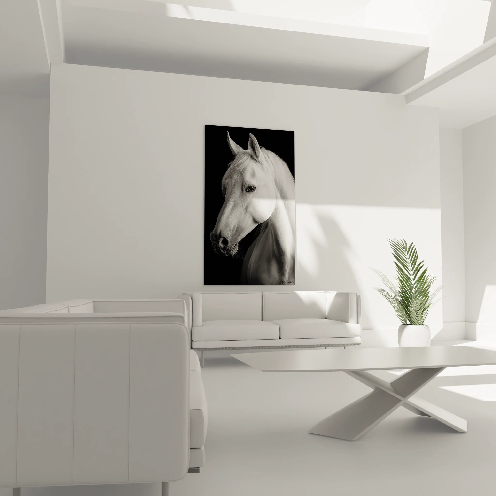 Gros plan portrait cheval blanc art photographique noir et blanc détails