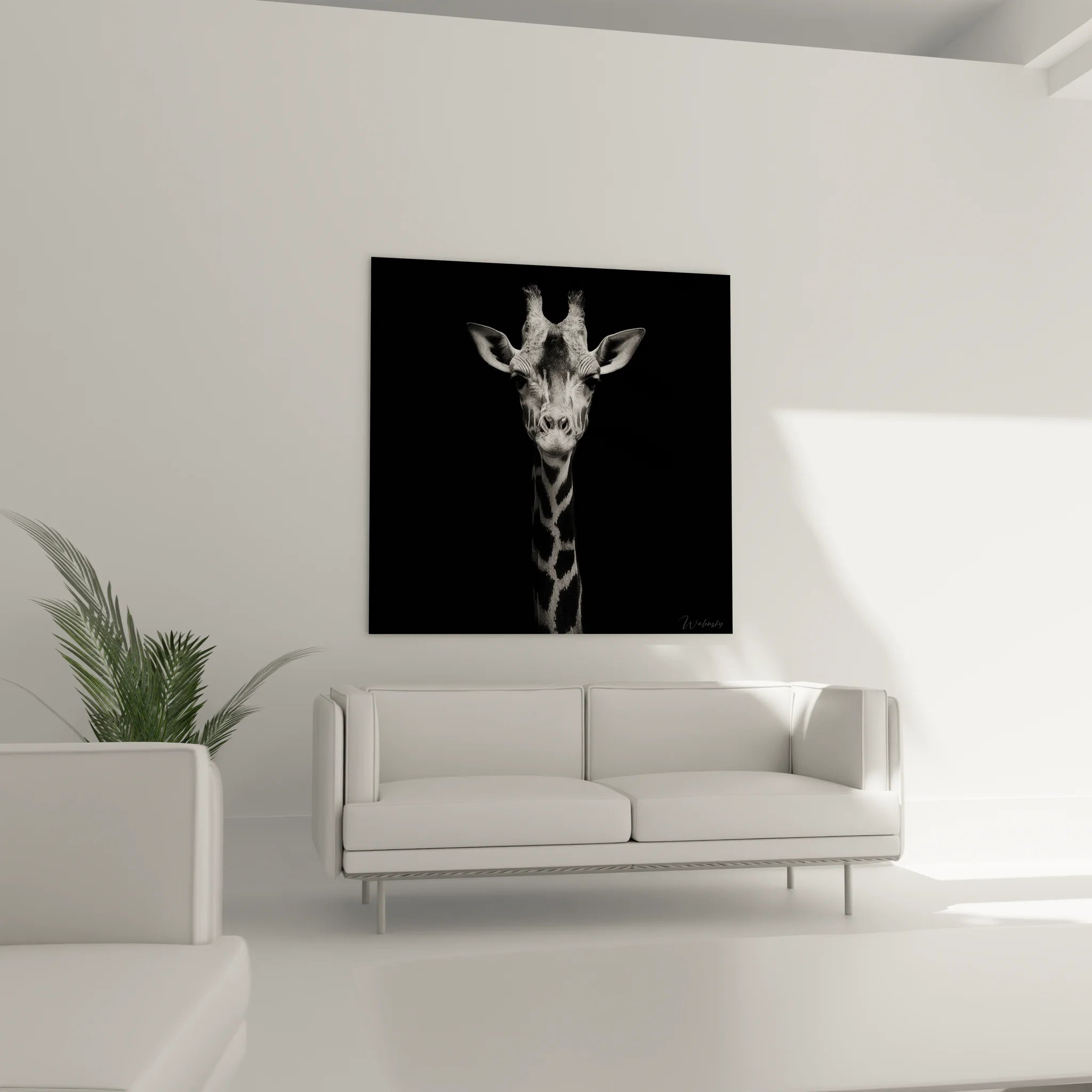 Gros plan détails portrait girafe noir blanc texture pelage motifs géométriques naturels